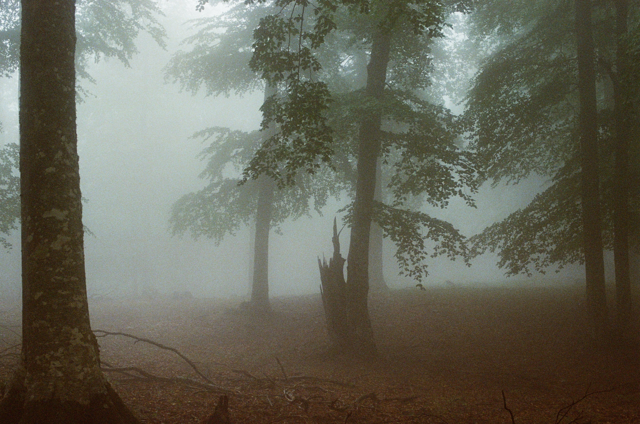 Dig it // ukraine, crimea II. EVER EXPOSED