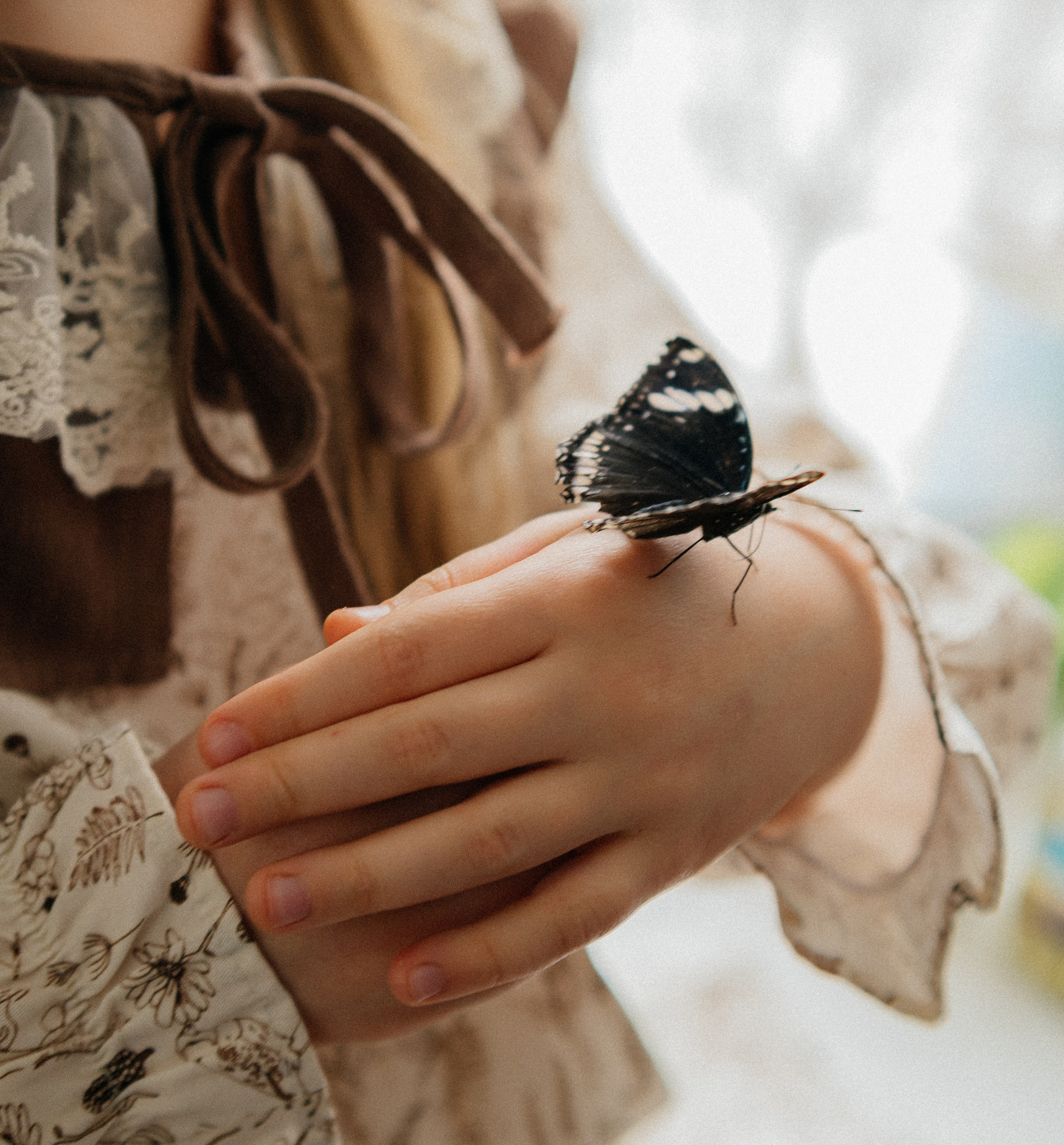 Butterfly. FotoTanya. Раменское/Жуковский/Бронницы