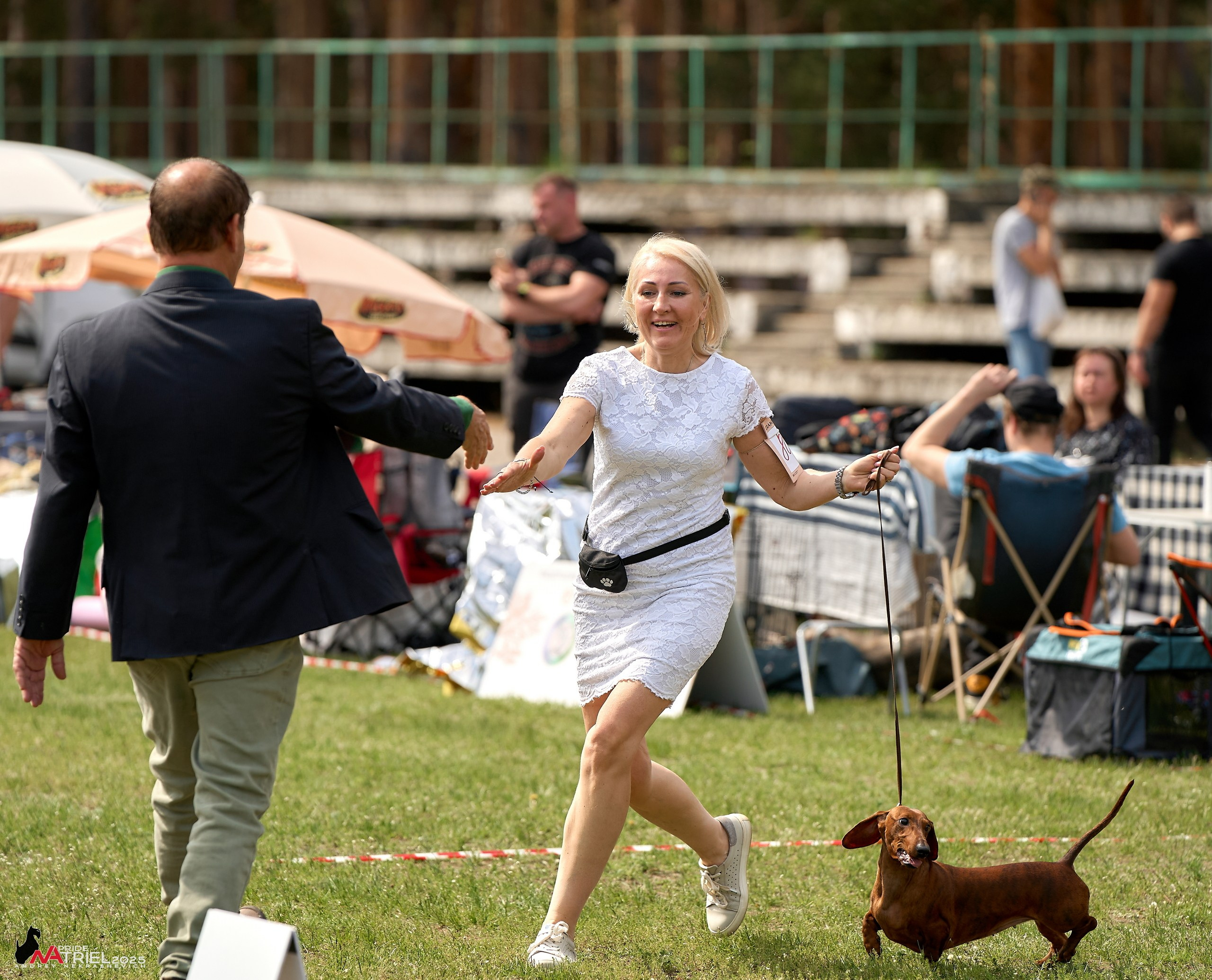Выставка собак Суздаль-Владимир