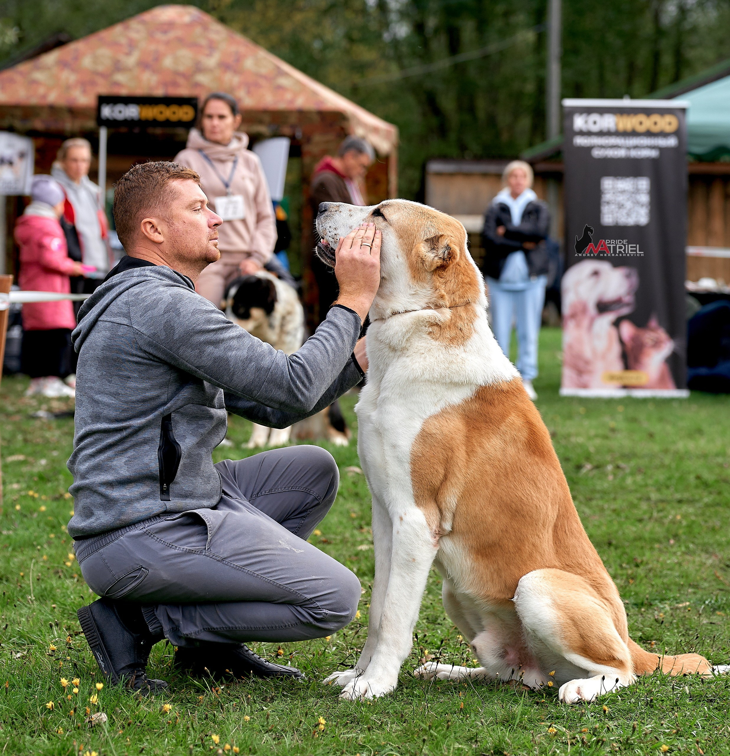 Работа в рингах — галерея NATRIEL