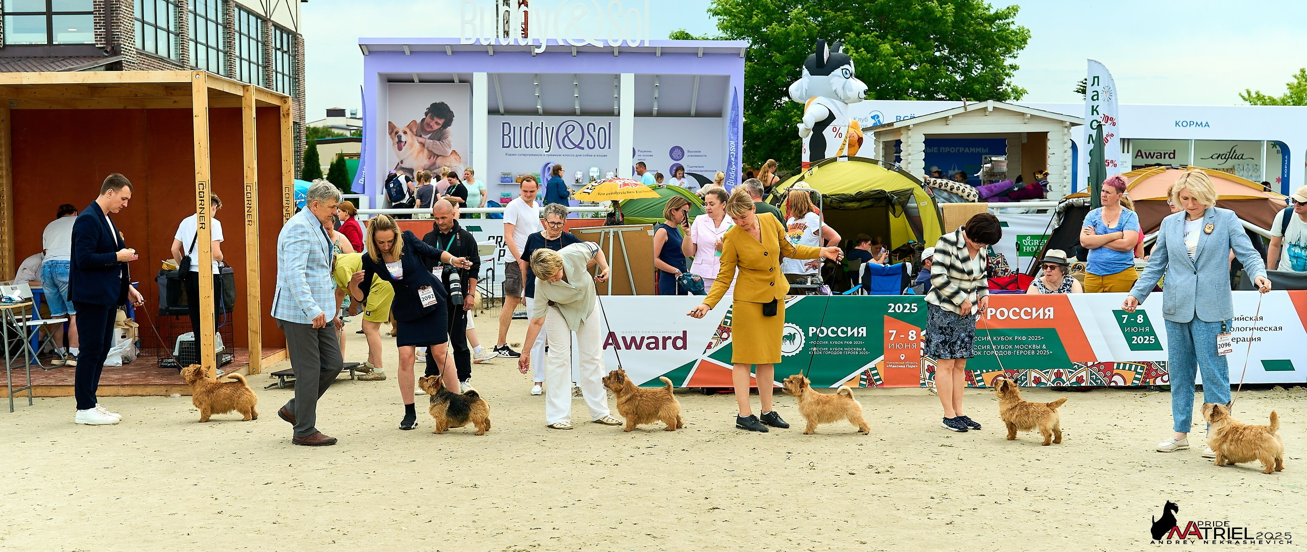 Выставка собак РОССИЯ — 2025