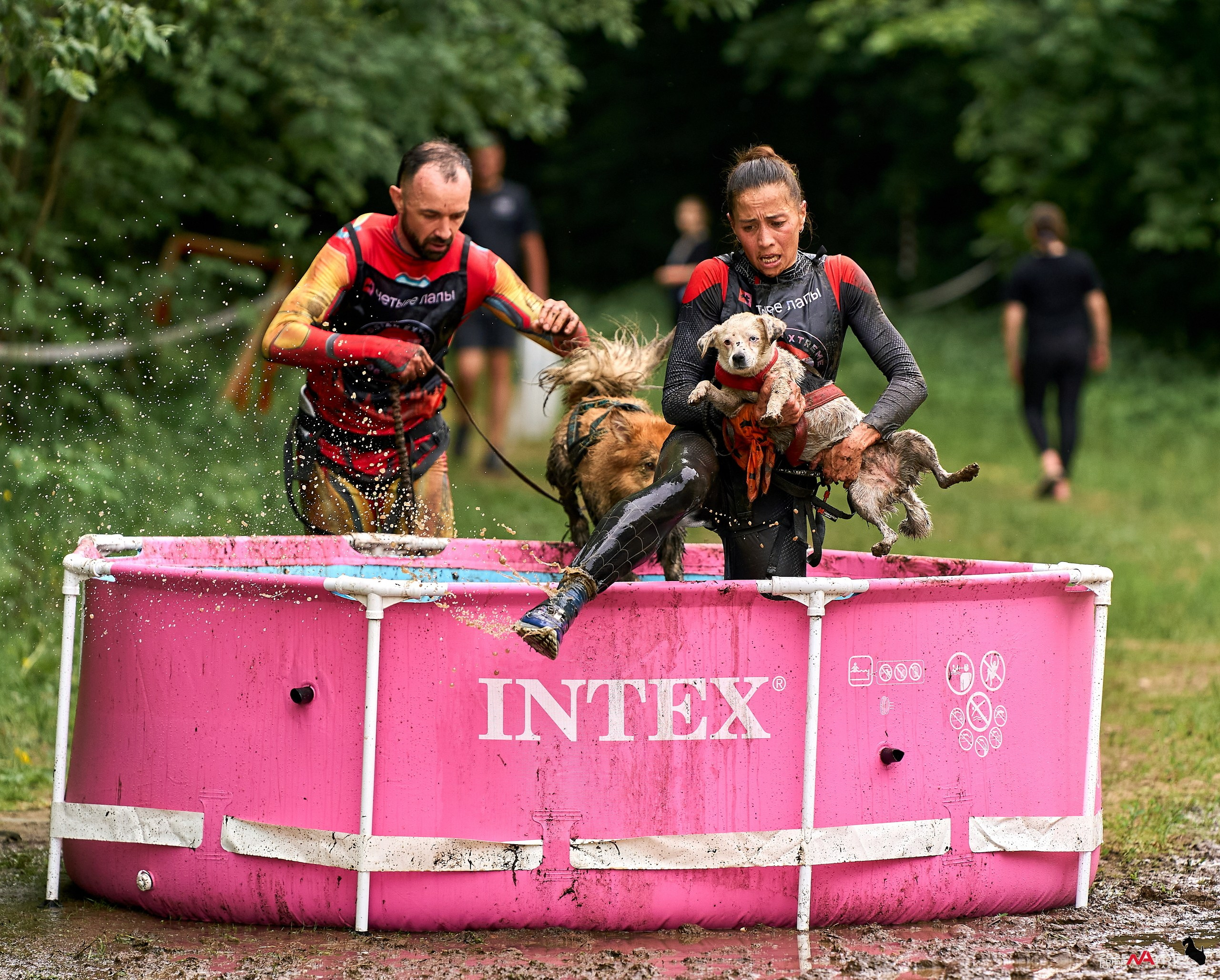 Russian Extreme Dog Trail — 2025