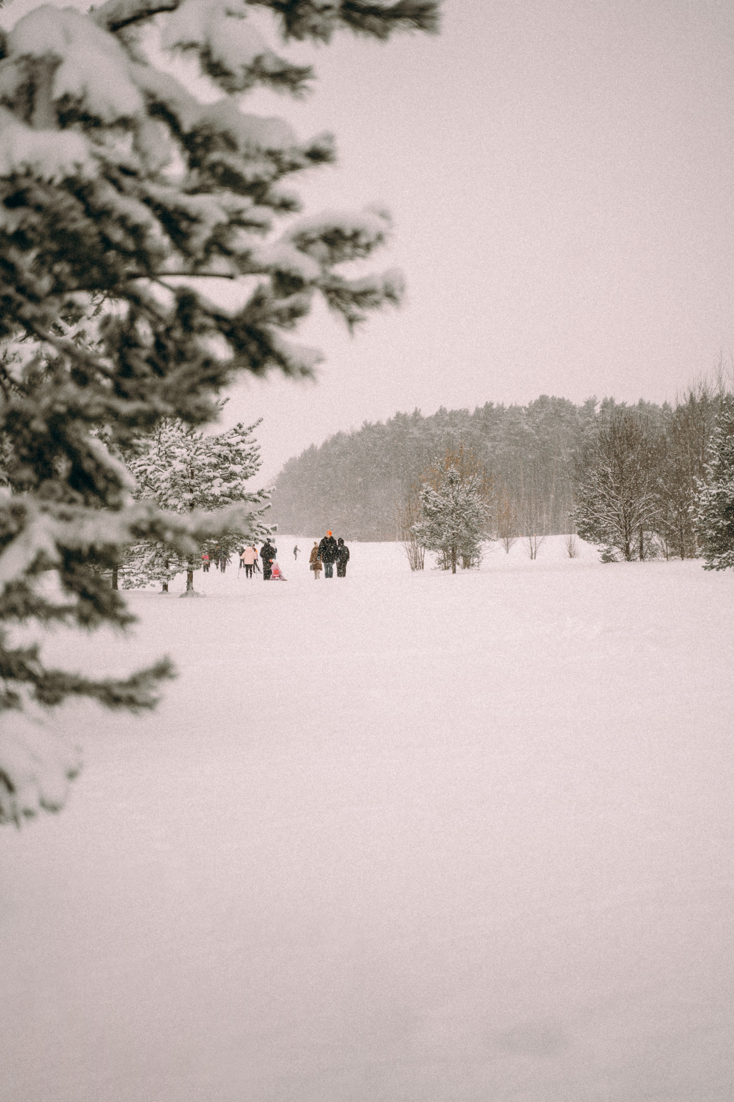 Москва. Фотограф Екатерина Катунова | Москва