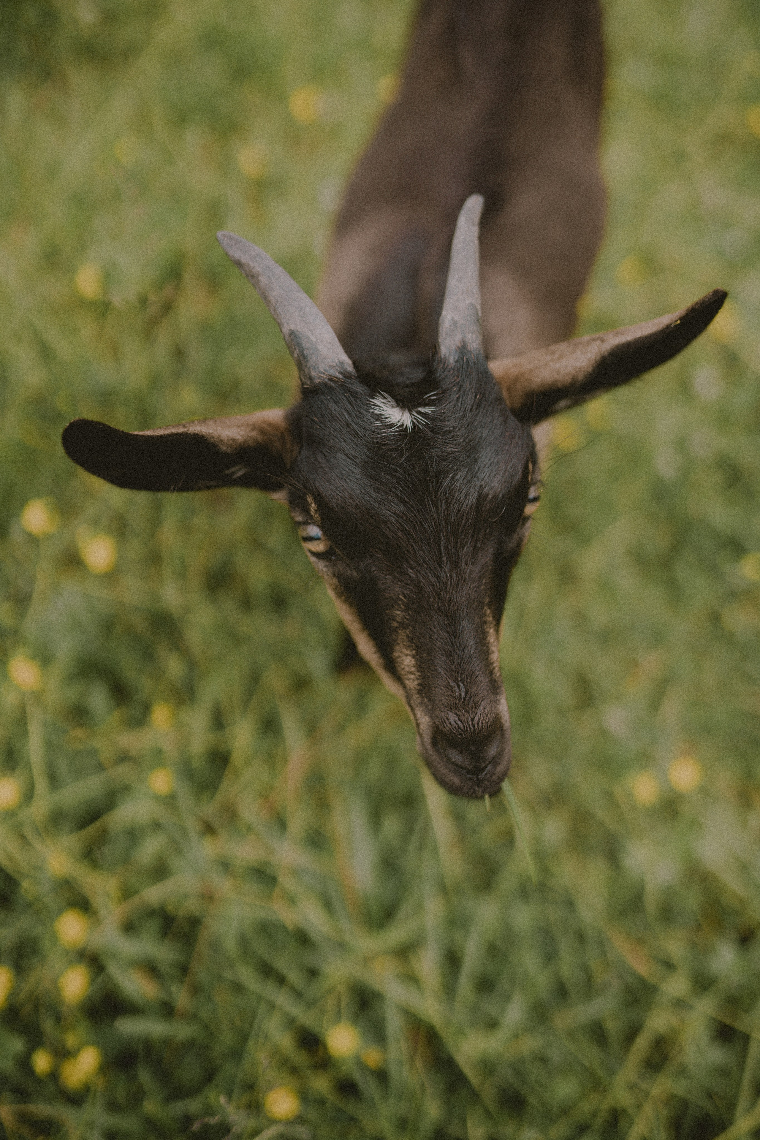 Санкт-Петербург. Фотограф Екатерина Катунова | Москва