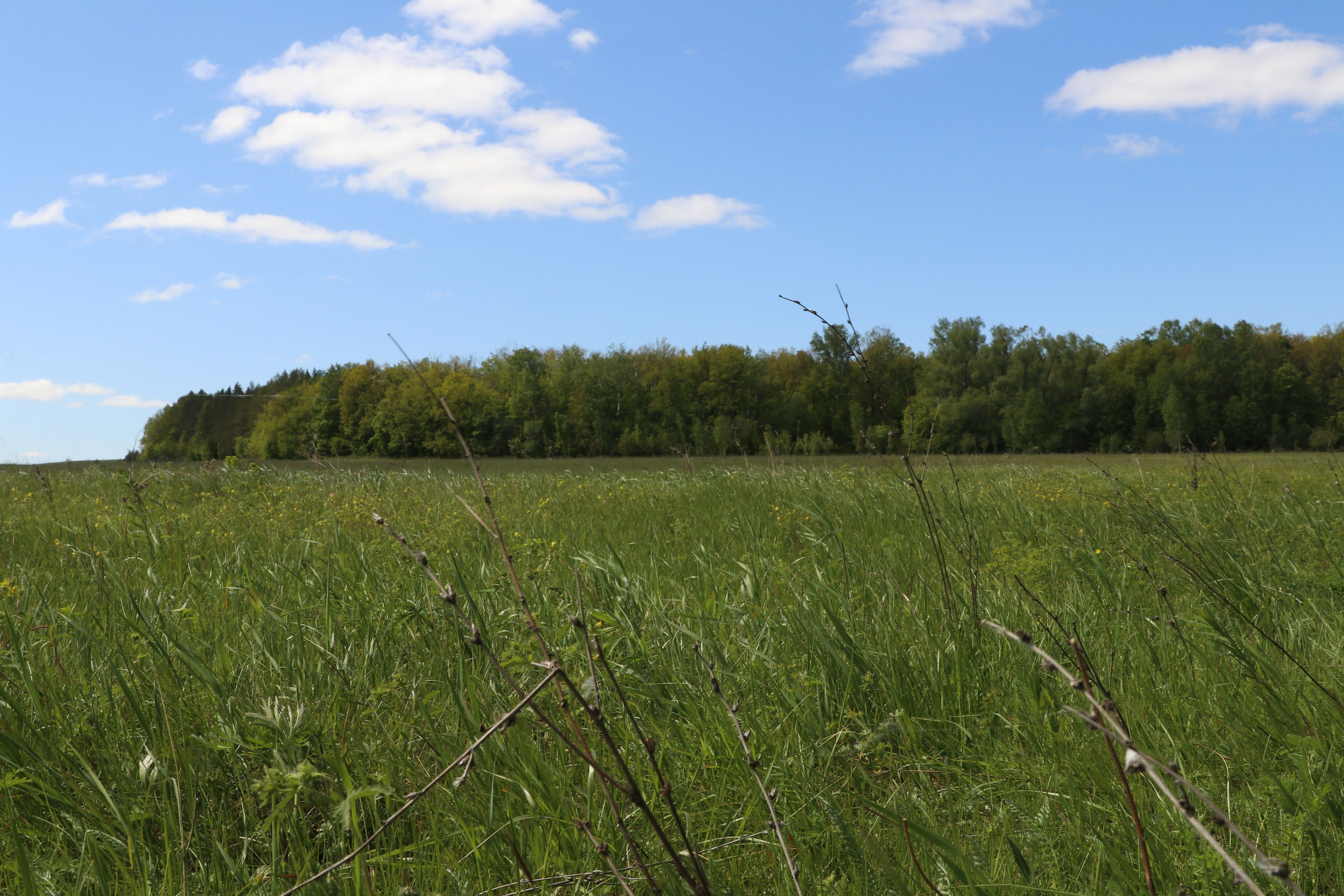 Велопоход Уфа — Мелеуз. Май 2024. Путешественник-фотограф из Санкт-Петербурга Татьяна Свистулина