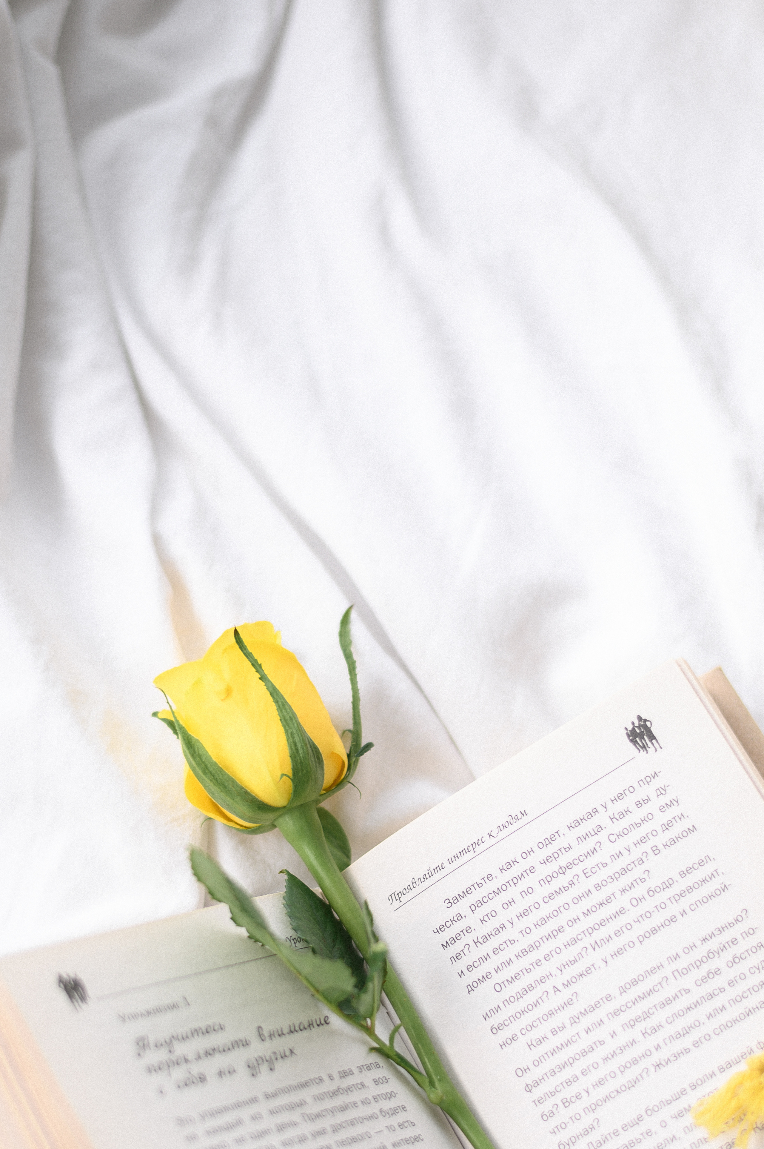 Съемка для бьюти мастера. Свадебный и семейный фотограф в Красноярске Виктория Тимонина