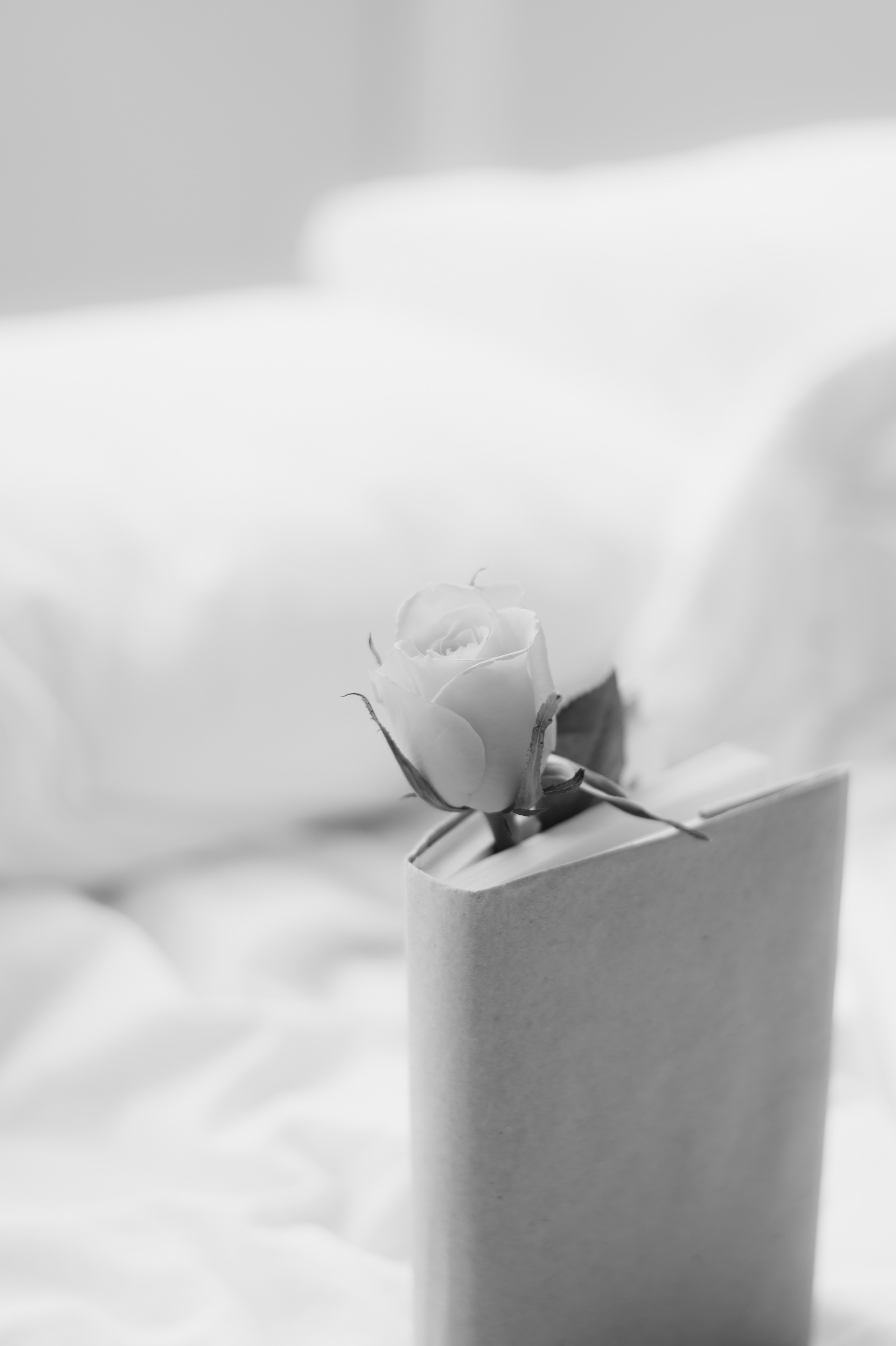 Съемка для бьюти мастера. Свадебный и семейный фотограф в Красноярске Виктория Тимонина