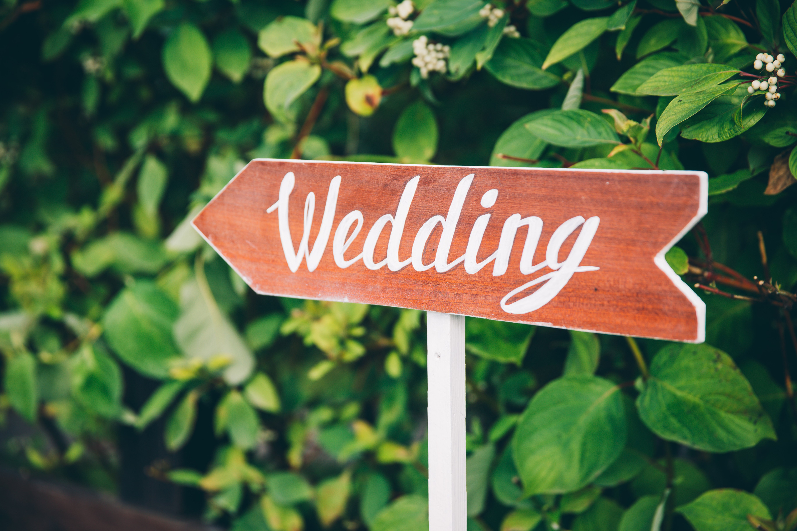 Фото свадьбы весной. Ведущий на праздник в Москве / Денис Аганин