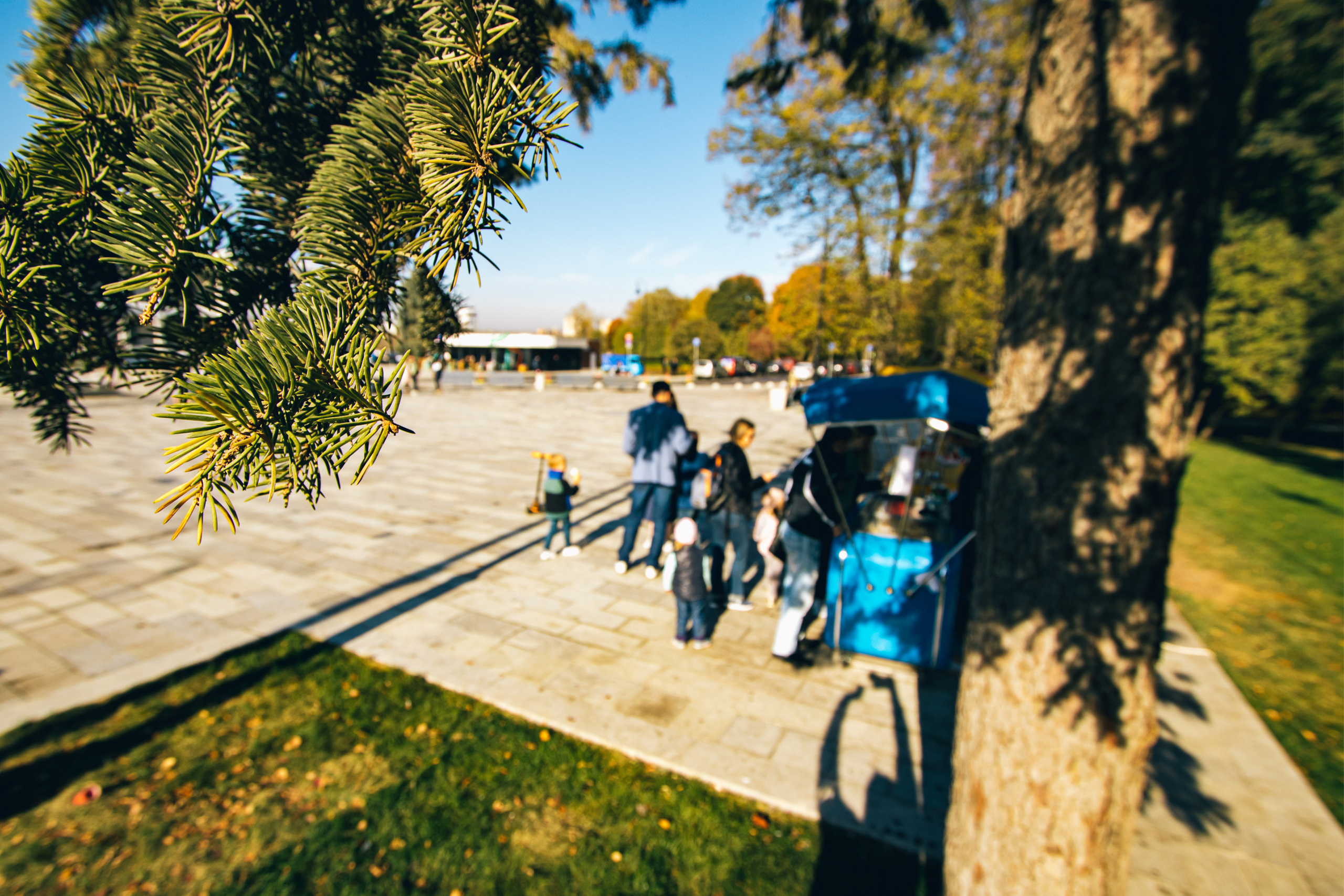Семейная фотосъёмка на улице. Ведущий на праздник в Москве / Денис Аганин