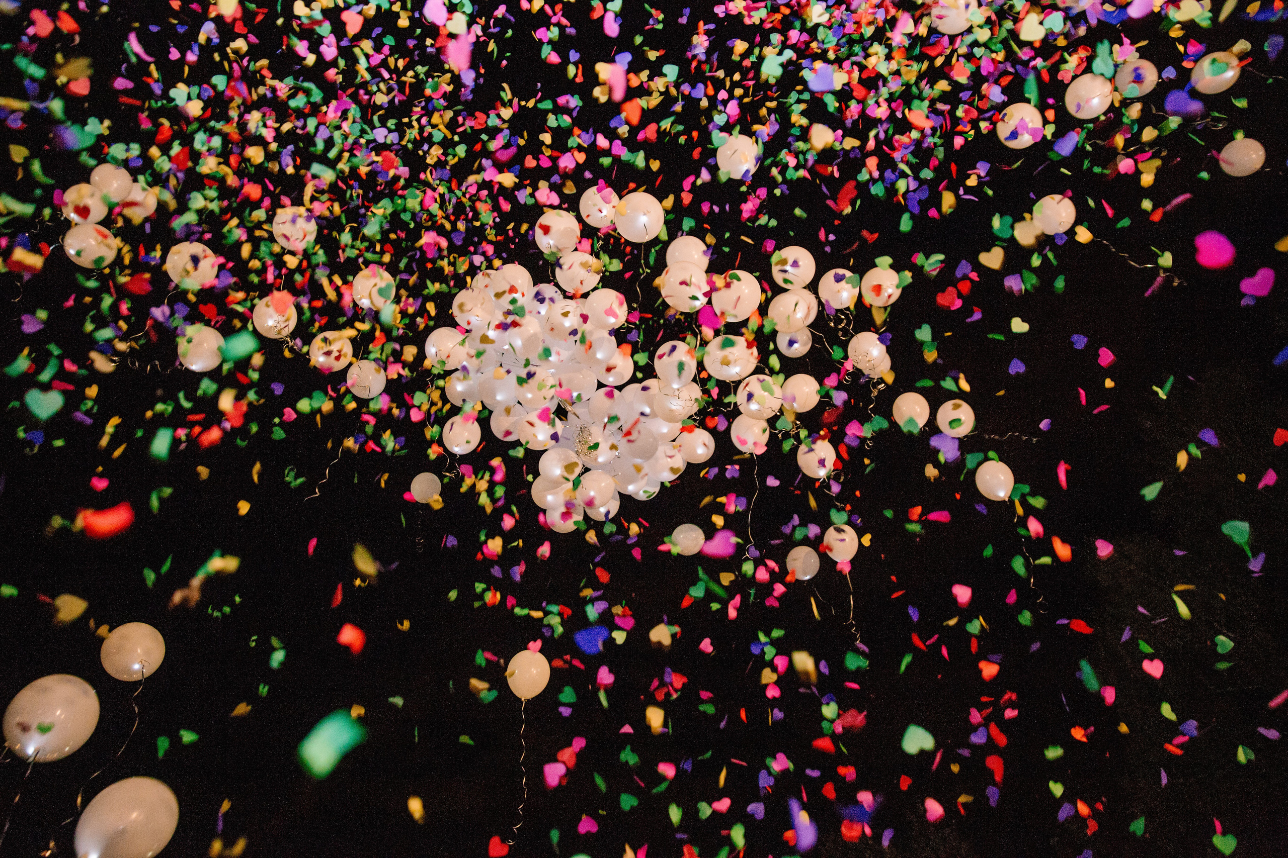 Фото свадьбы весной. Ведущий на праздник в Москве / Денис Аганин