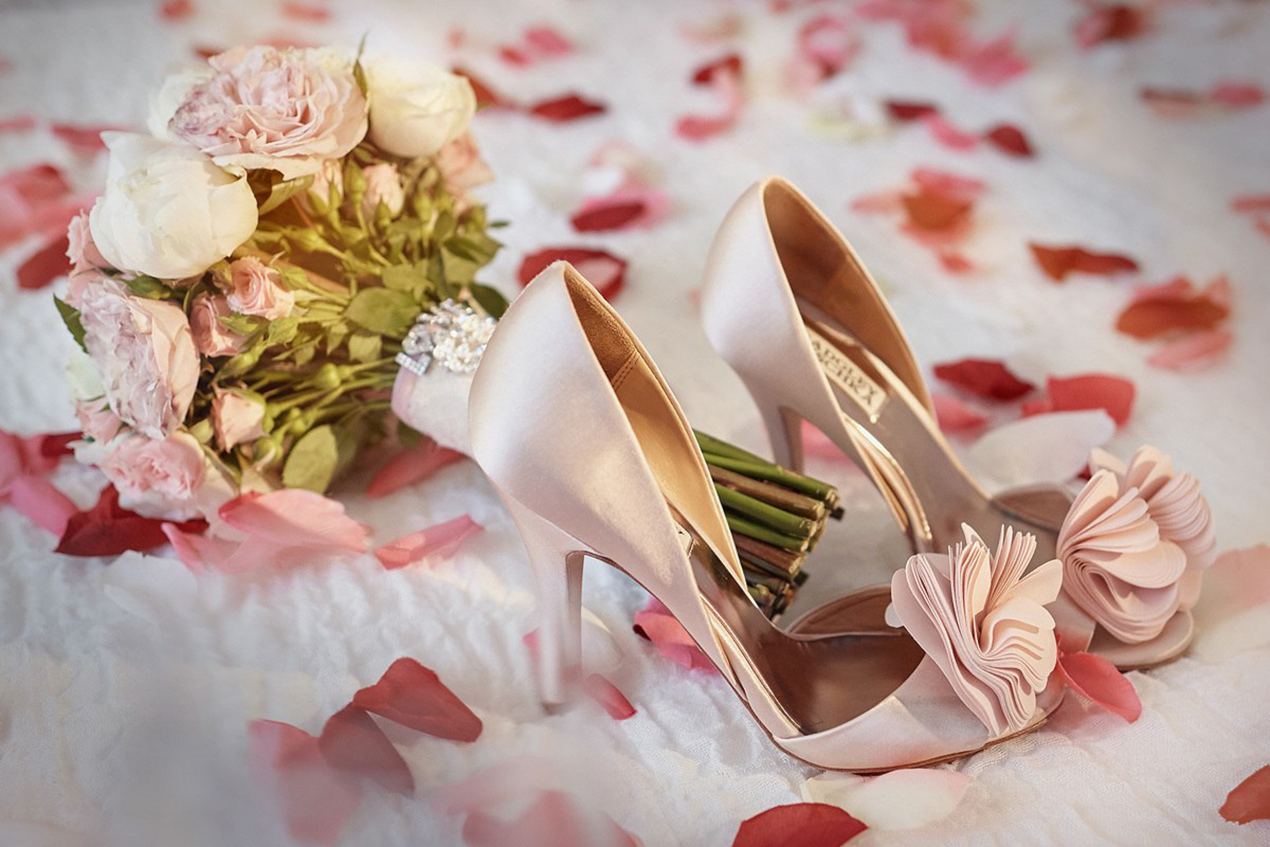 Сборы невесты. Ведущий на праздник в Москве / Денис Аганин