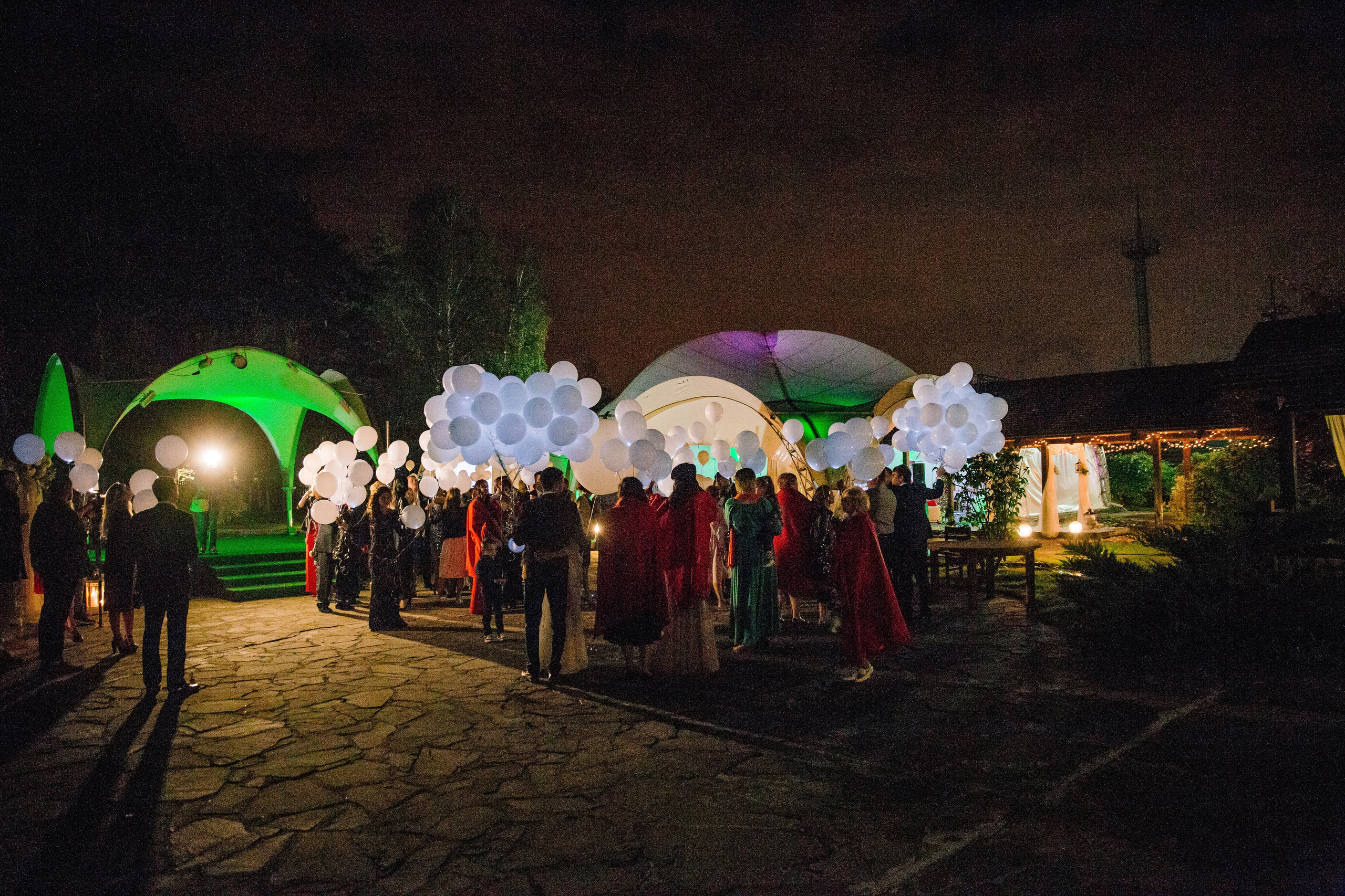 Фото свадьбы весной. Ведущий на праздник в Москве / Денис Аганин