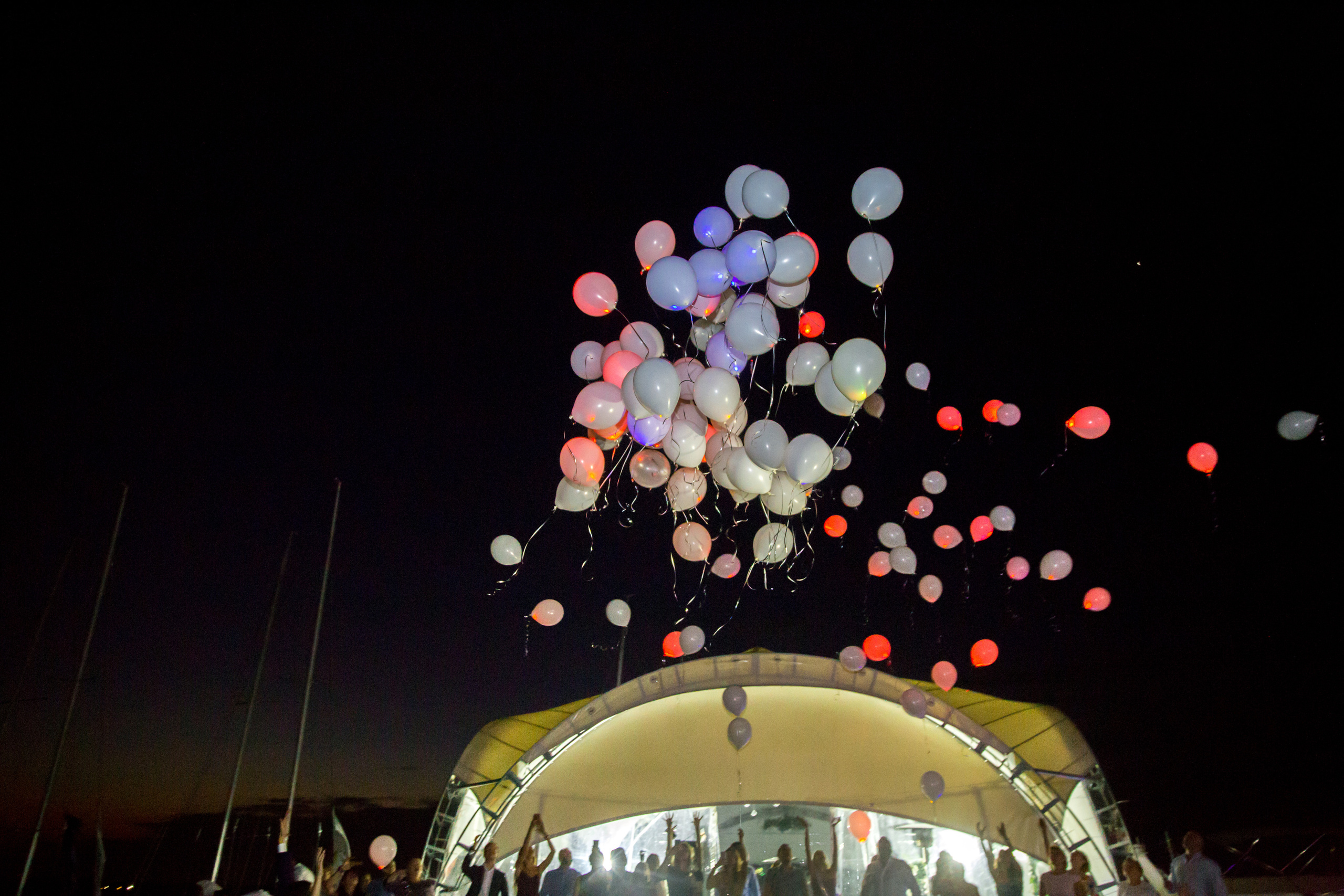 Фотограф на свадьбу летом. Ведущий на праздник в Москве / Денис Аганин
