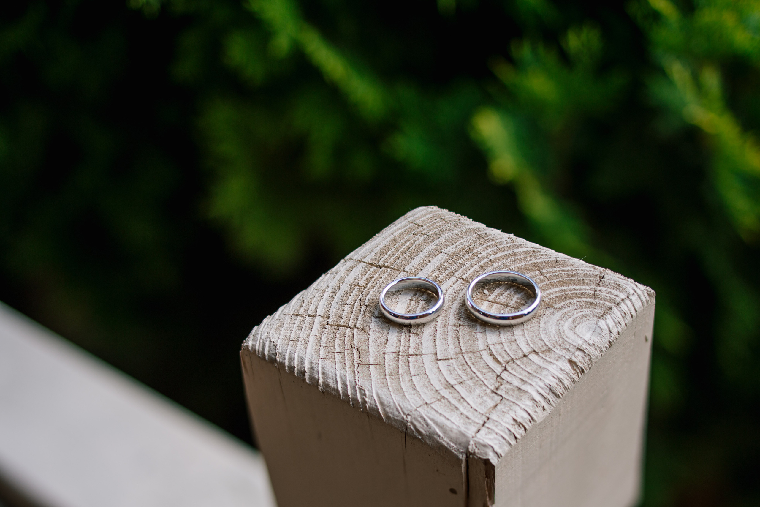 Фото свадьбы весной. Ведущий на праздник в Москве / Денис Аганин