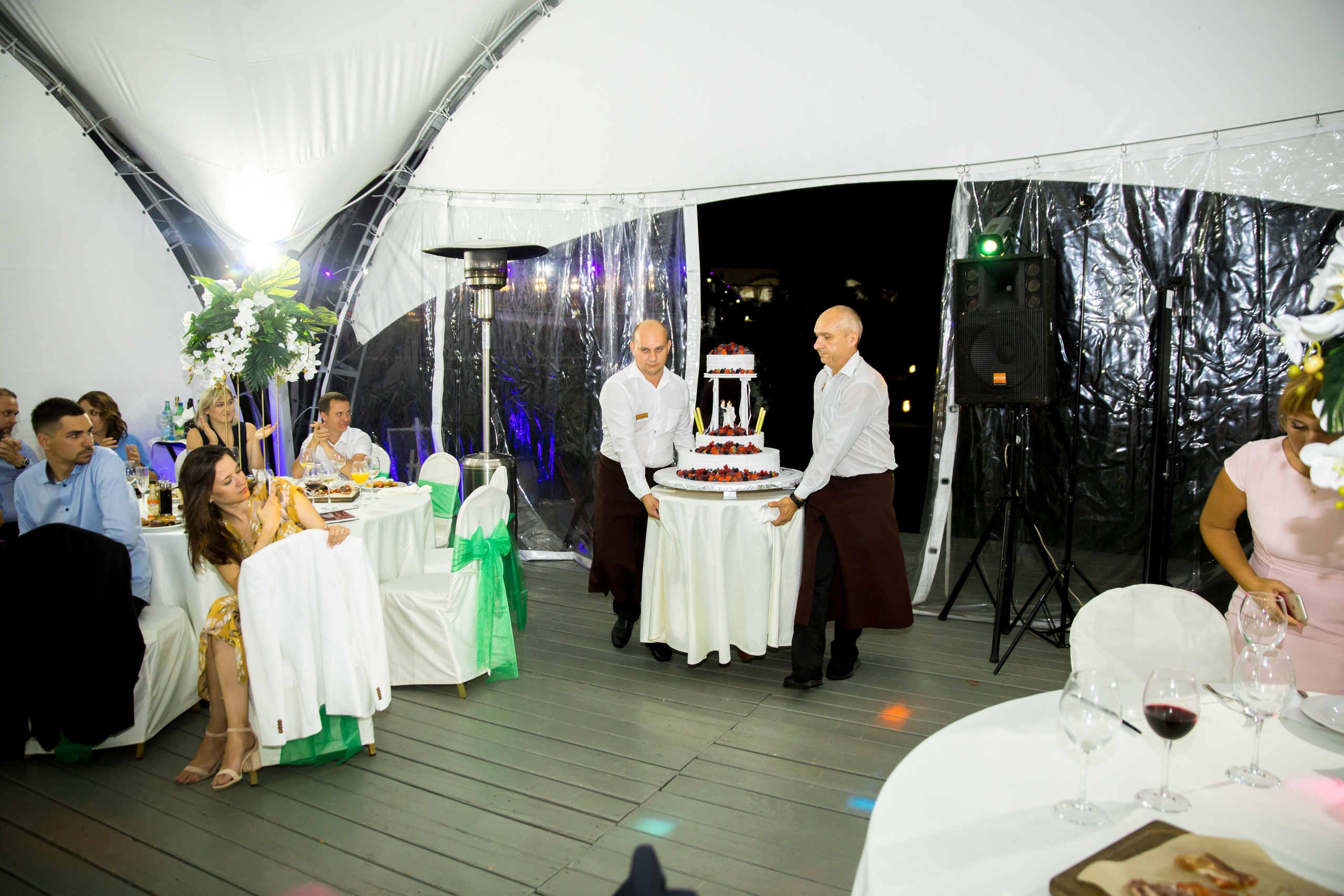 Фотограф на свадьбу летом. Ведущий на праздник в Москве / Денис Аганин