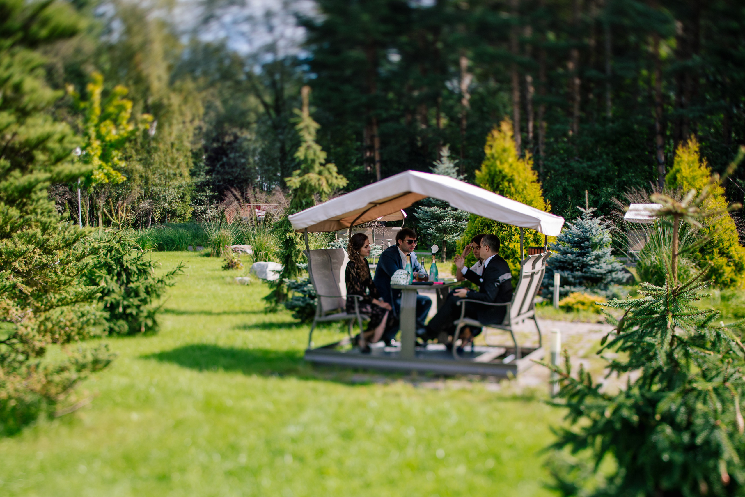 Фото свадьбы весной. Ведущий на праздник в Москве / Денис Аганин