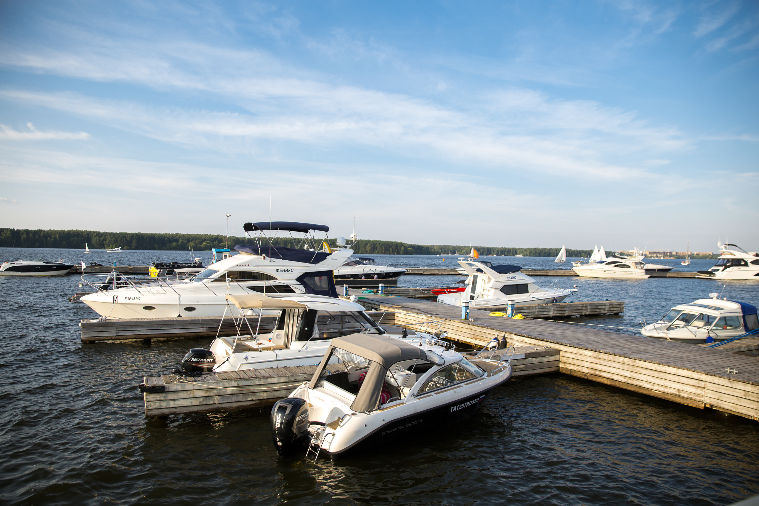 Фотограф на свадьбу летом. Ведущий на праздник в Москве / Денис Аганин