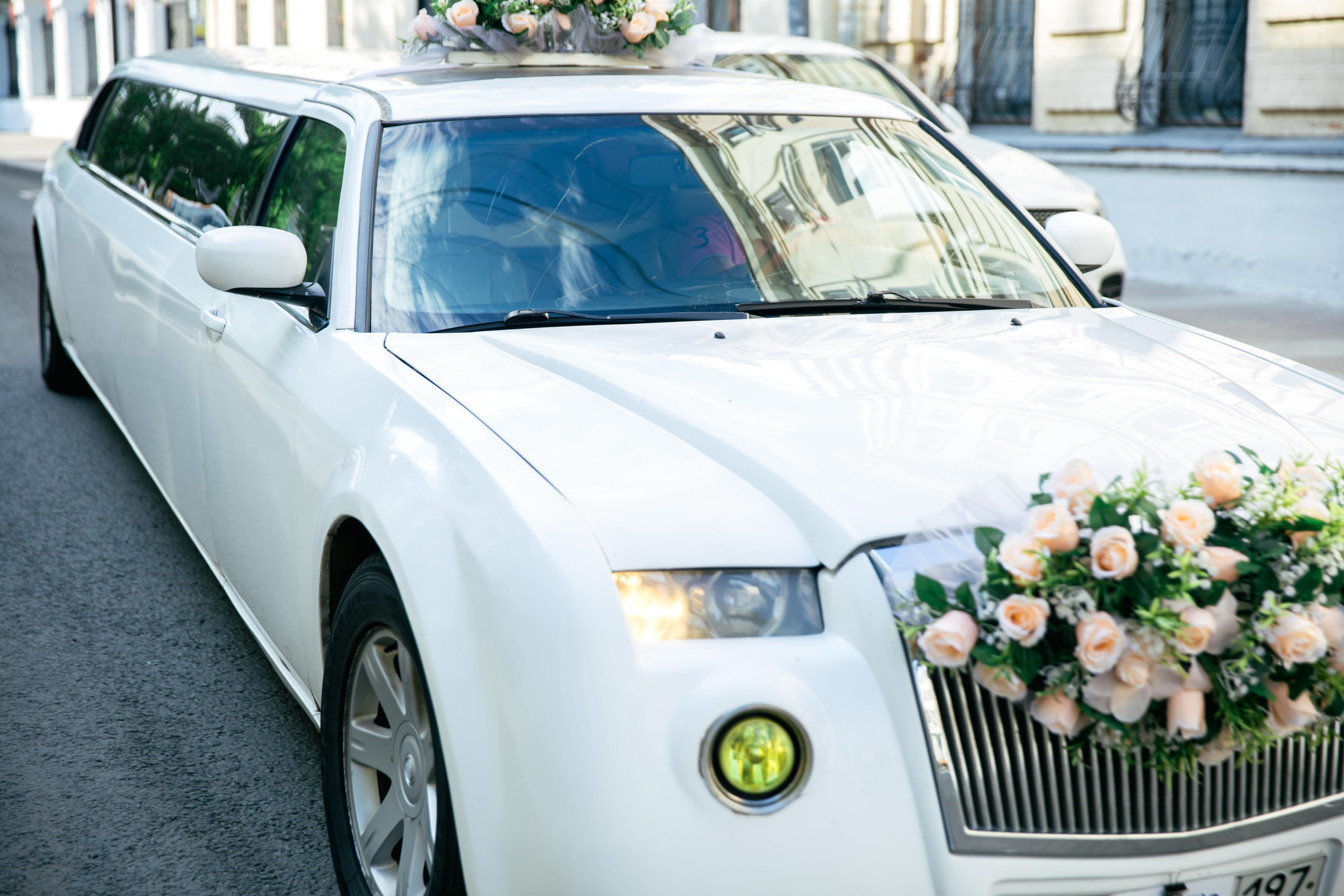 Взрослая свадьба без банкета. Ведущий на праздник в Москве / Денис Аганин