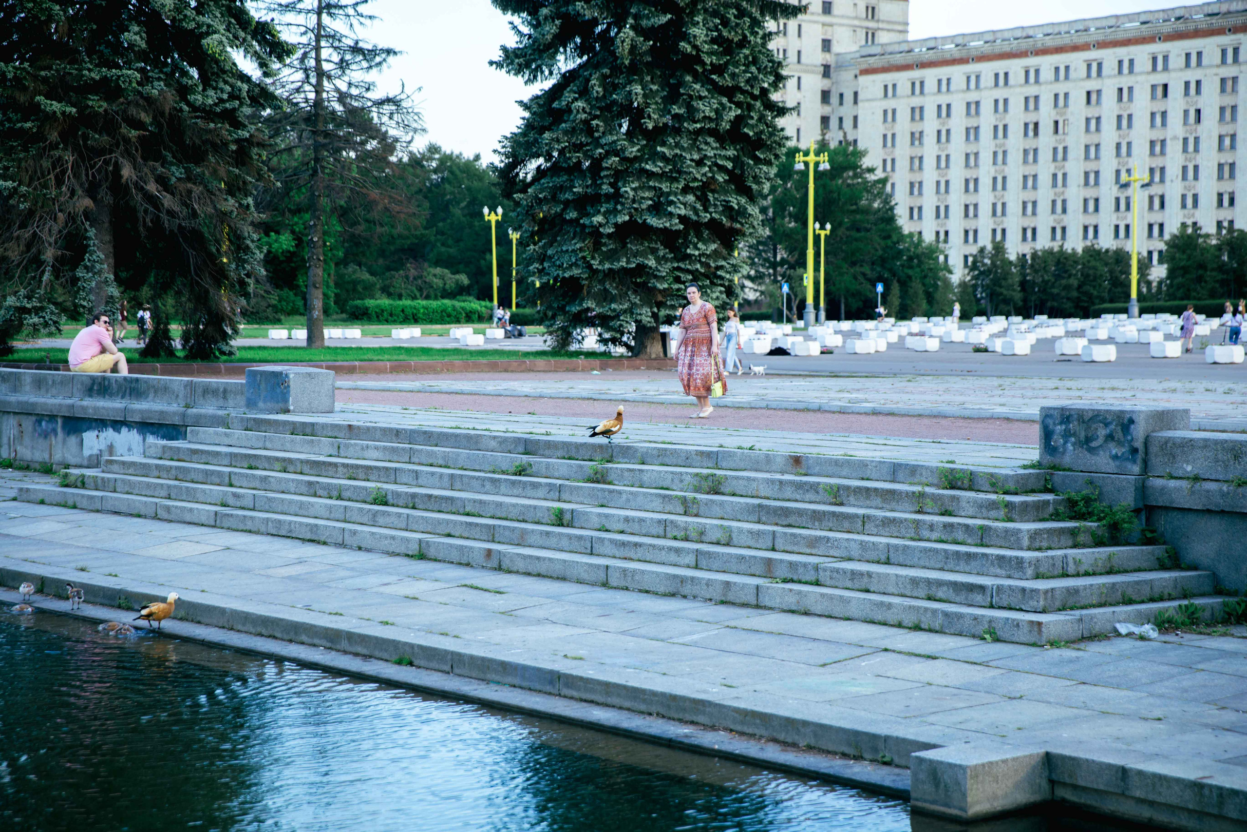 Взрослая свадьба без банкета. Ведущий на праздник в Москве / Денис Аганин