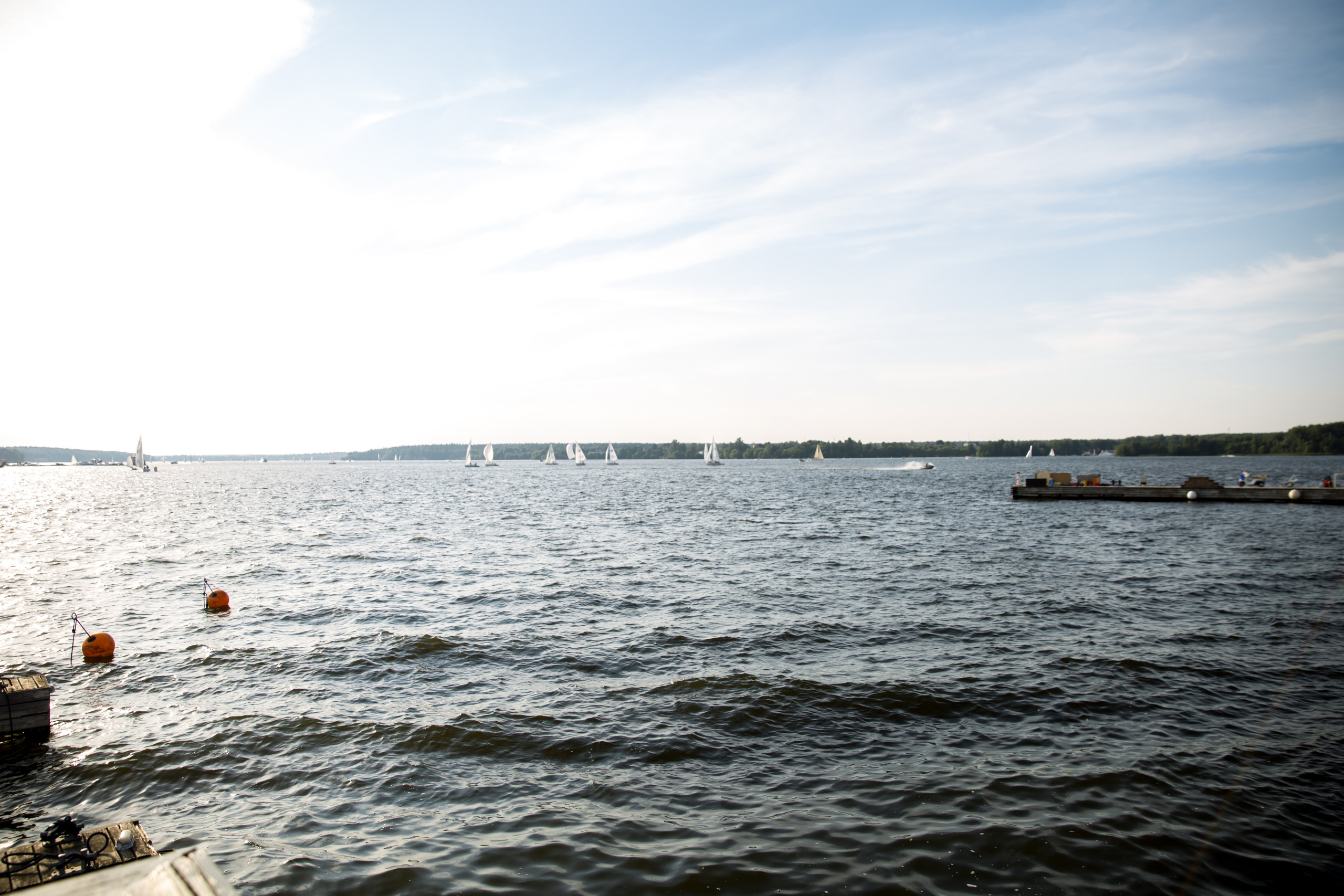 Фотограф на свадьбу летом. Ведущий на праздник в Москве / Денис Аганин