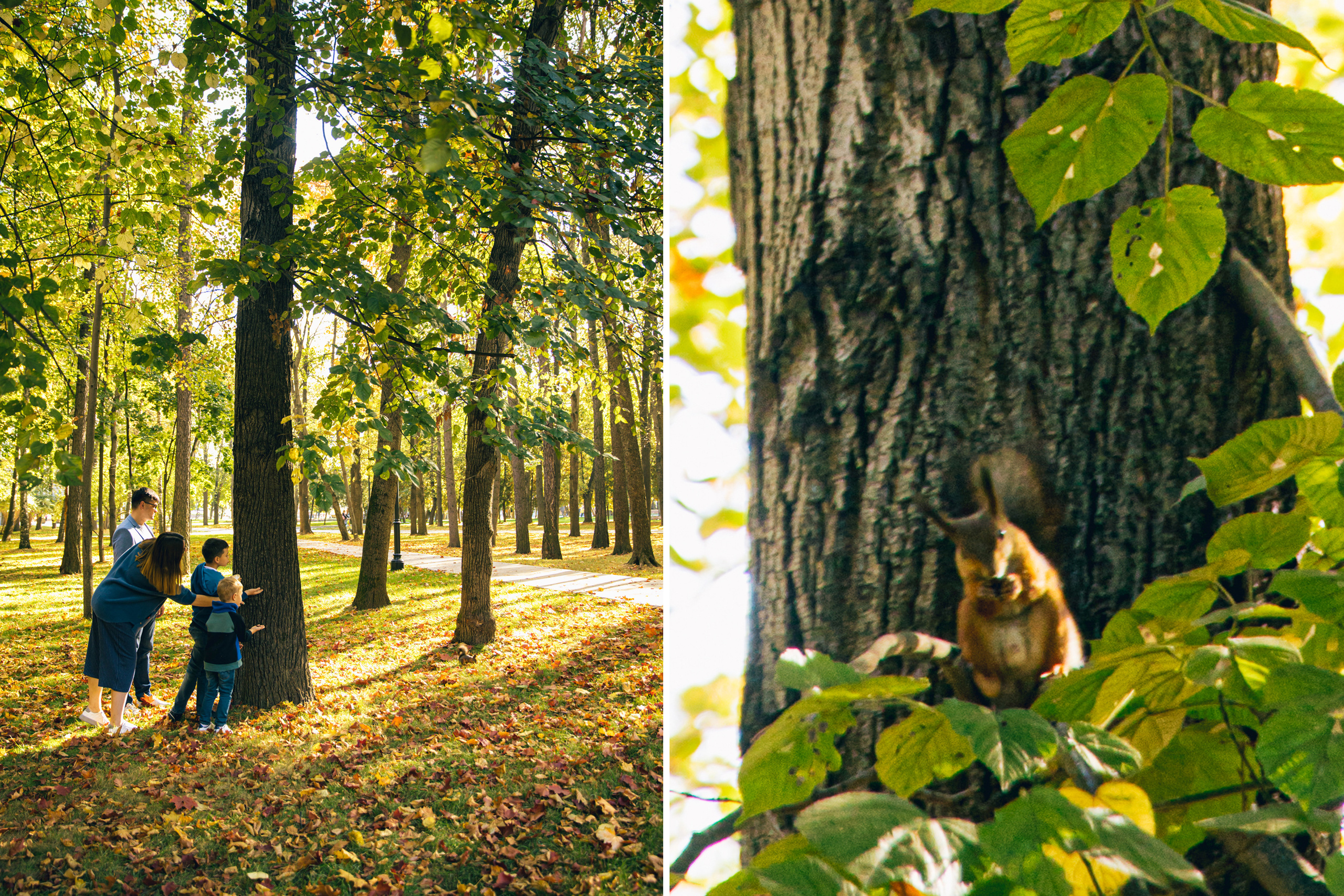 Семейная фотосъёмка на улице. Ведущий на праздник в Москве / Денис Аганин