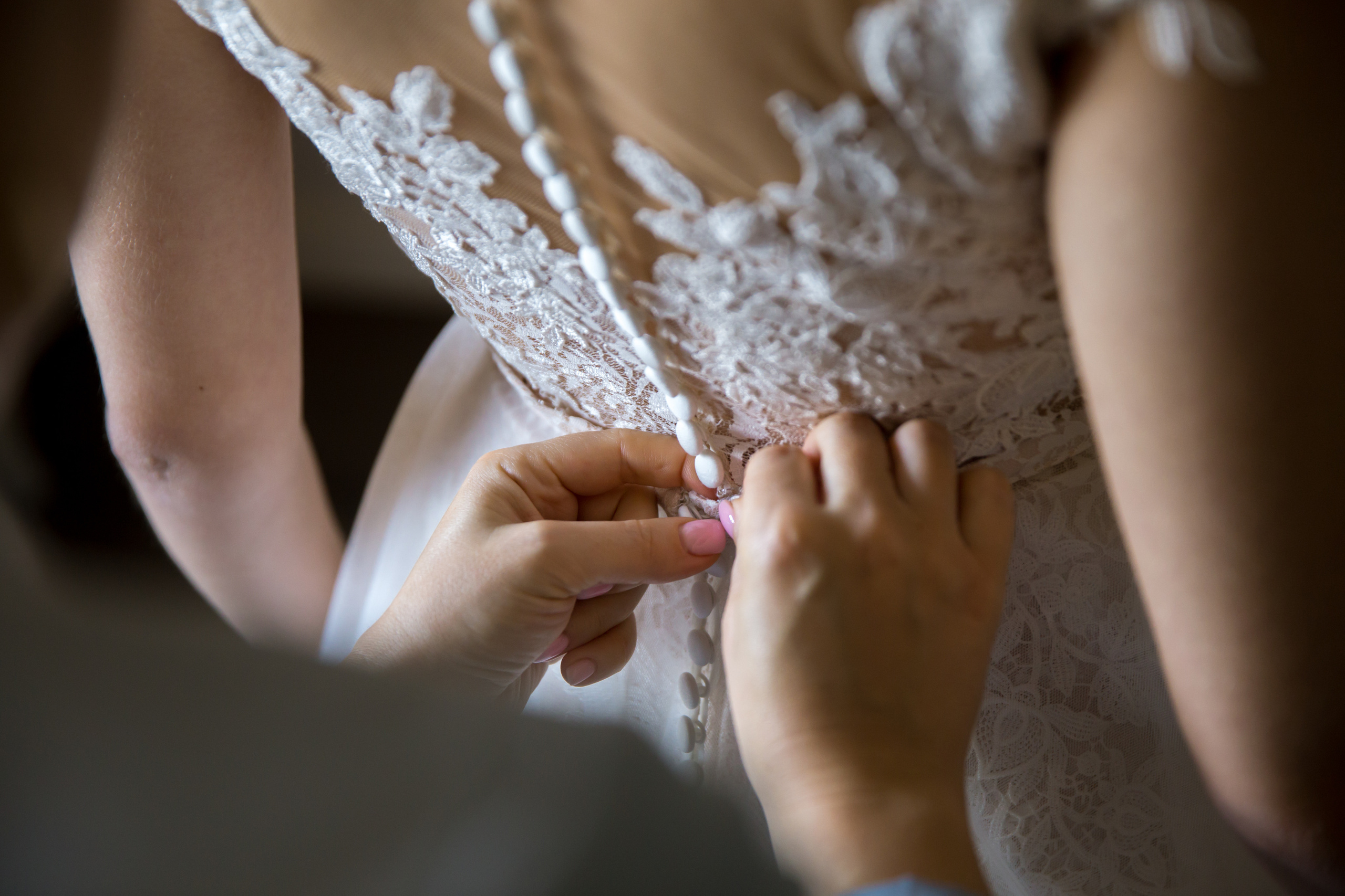 Фотограф на свадьбу летом. Ведущий на праздник в Москве / Денис Аганин