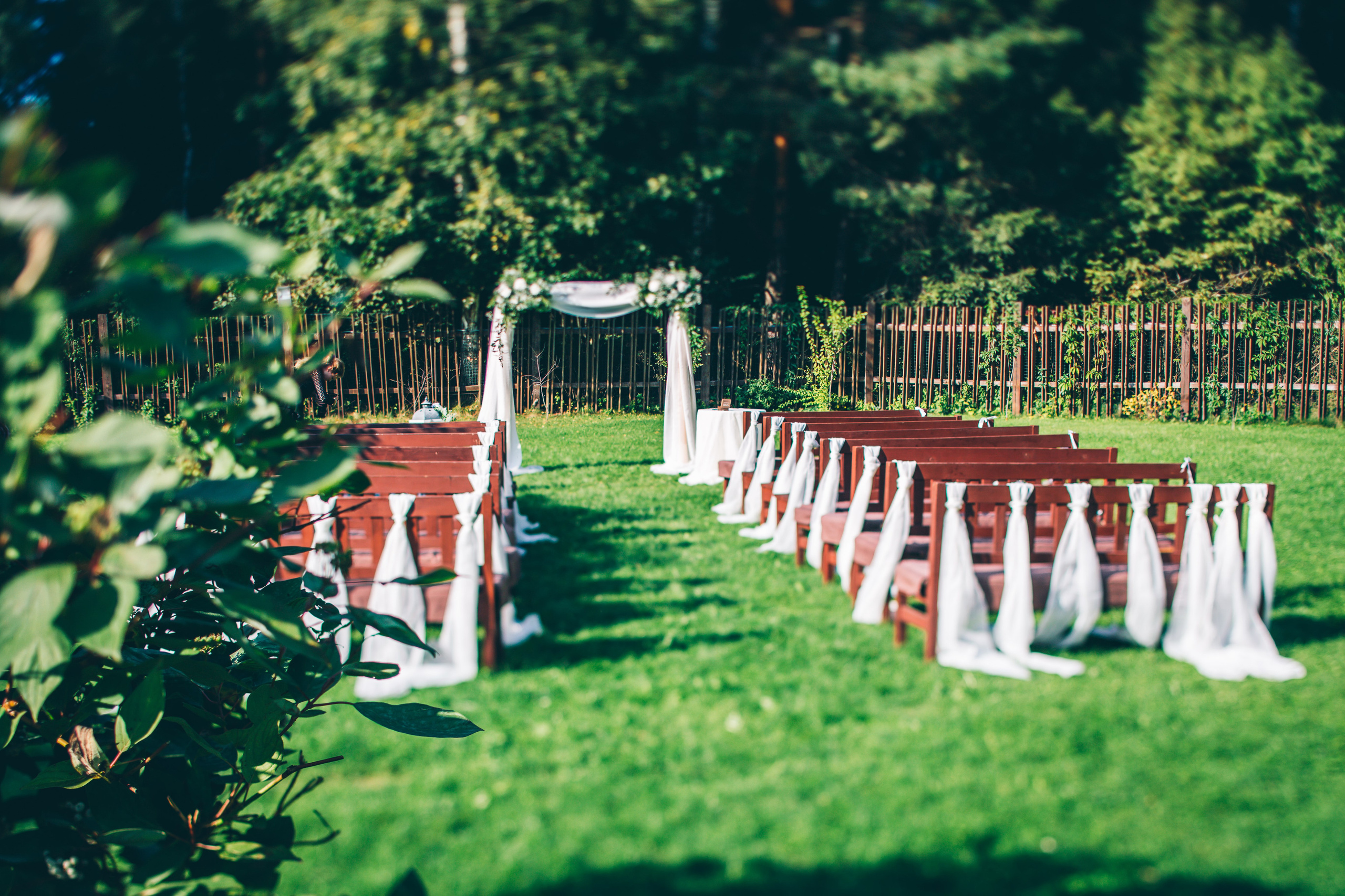Фото свадьбы весной. Ведущий на праздник в Москве / Денис Аганин