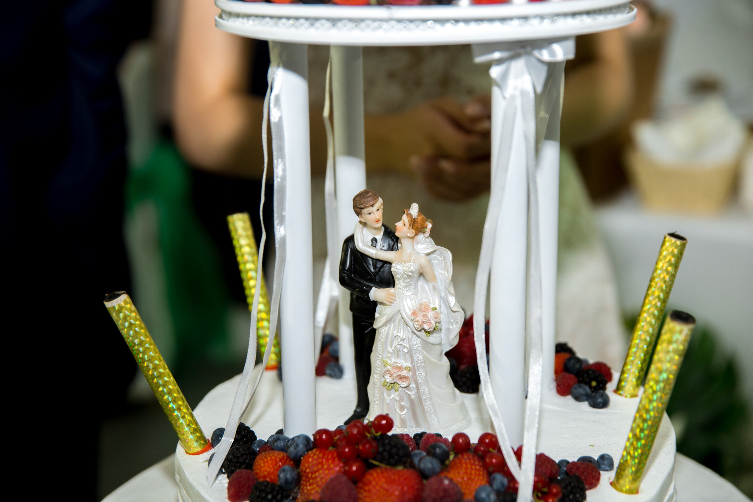 Фотограф на свадьбу летом. Ведущий на праздник в Москве / Денис Аганин