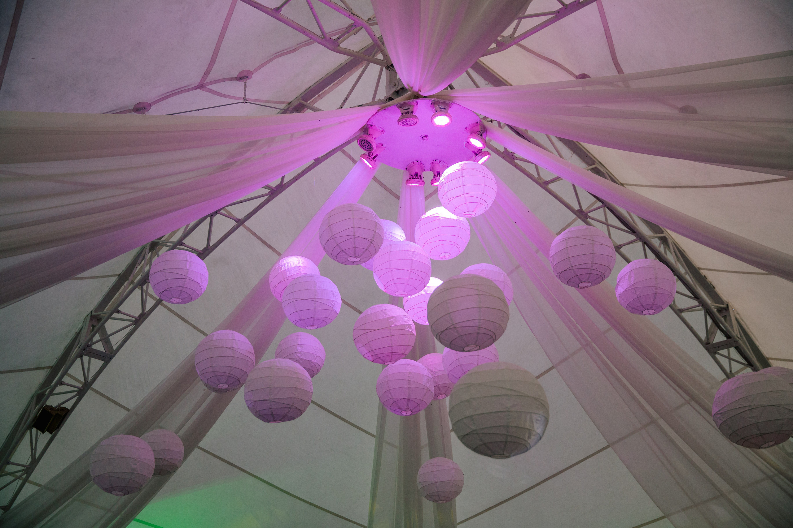 Фото свадьбы весной. Ведущий на праздник в Москве / Денис Аганин