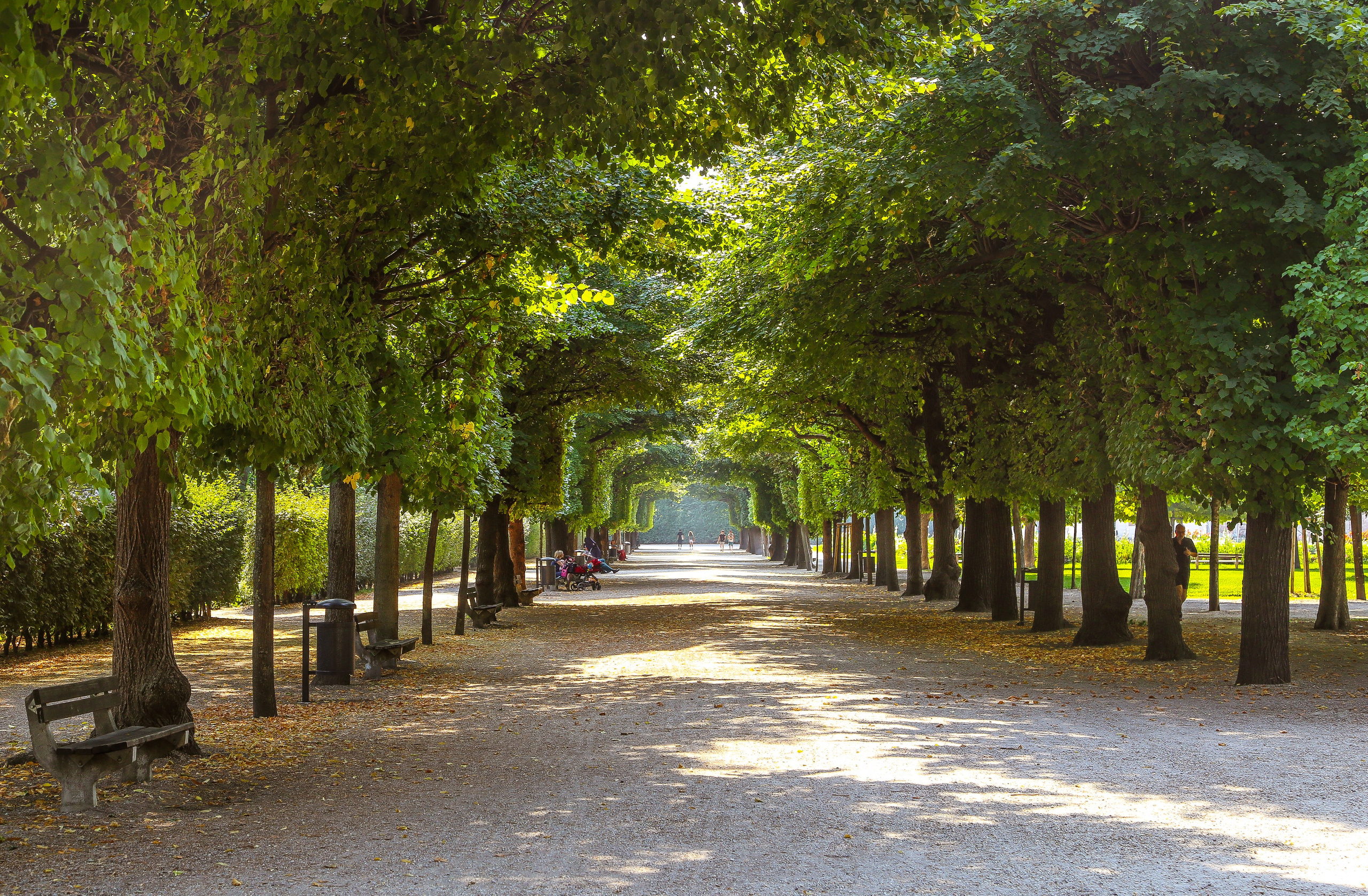 Австрия: Вена — Ратуша и Парламент, Пратер, Аугартен. Дарья Письменюк / Darya Leitstern — фотограф, музыкант, журналист, путешественник