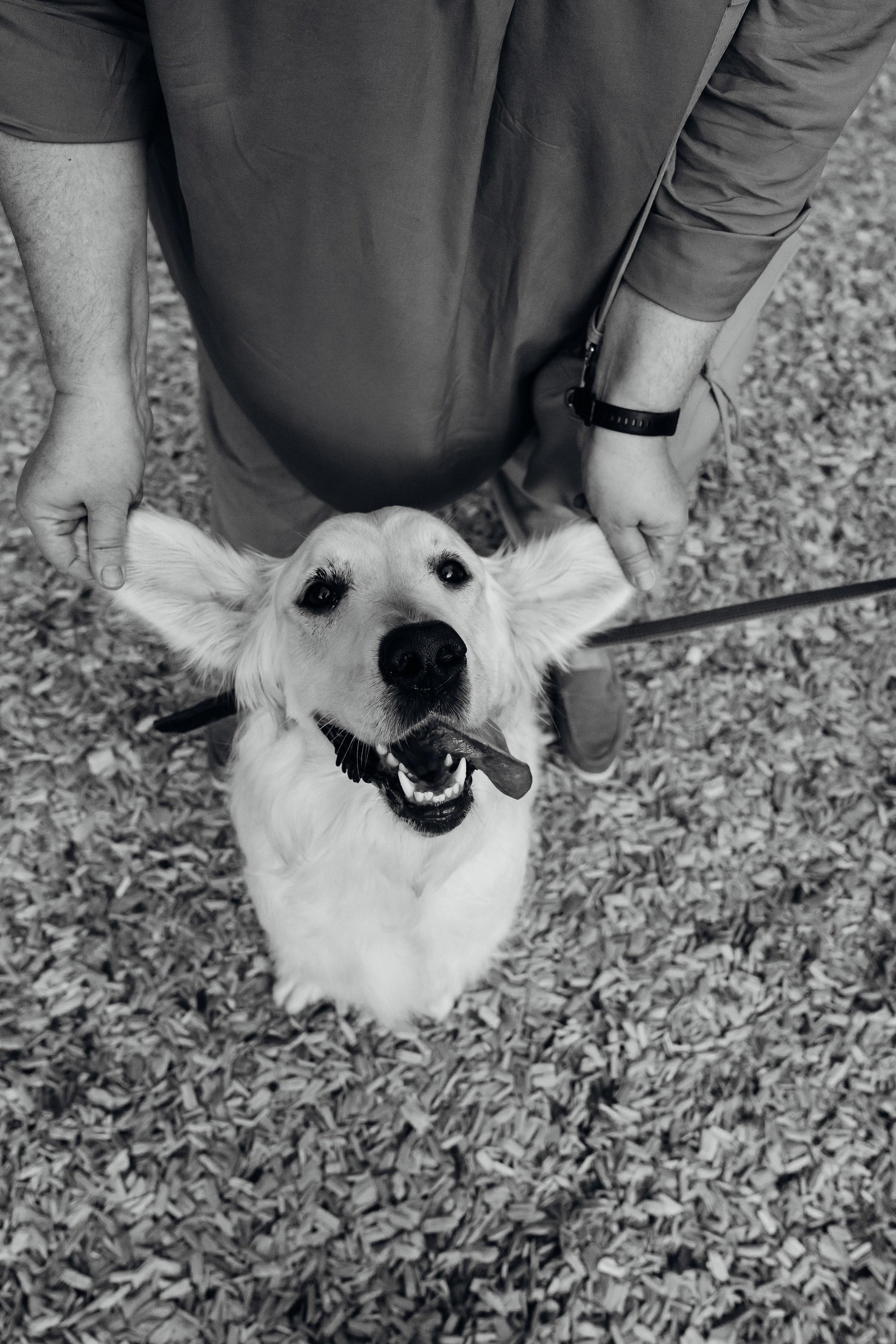 Светлана и Джесси. Фотограф и видеограф в Тюмени Екатерина Чернецкая