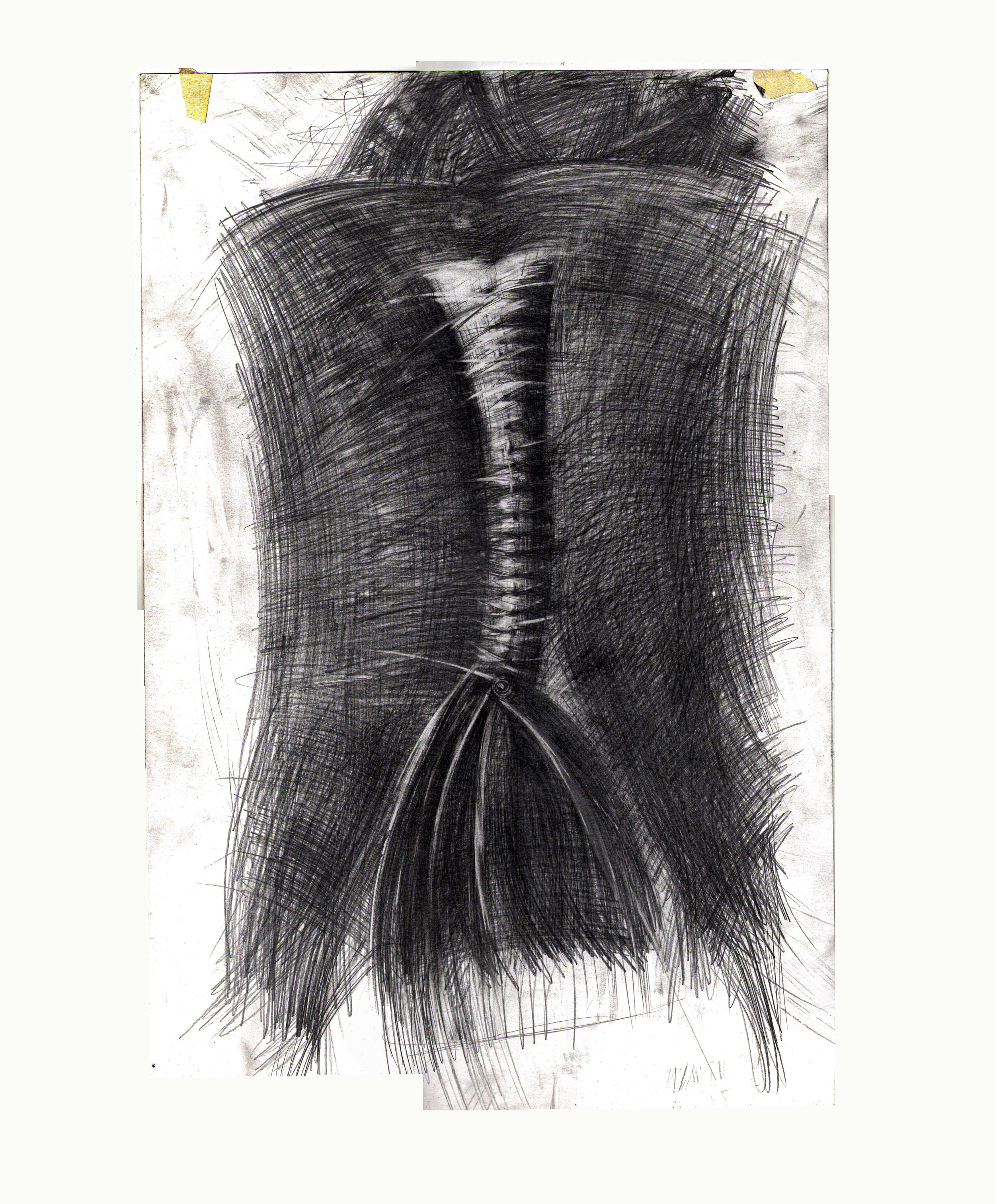 Серия "хвосты". 2019. Графитный карандаш.