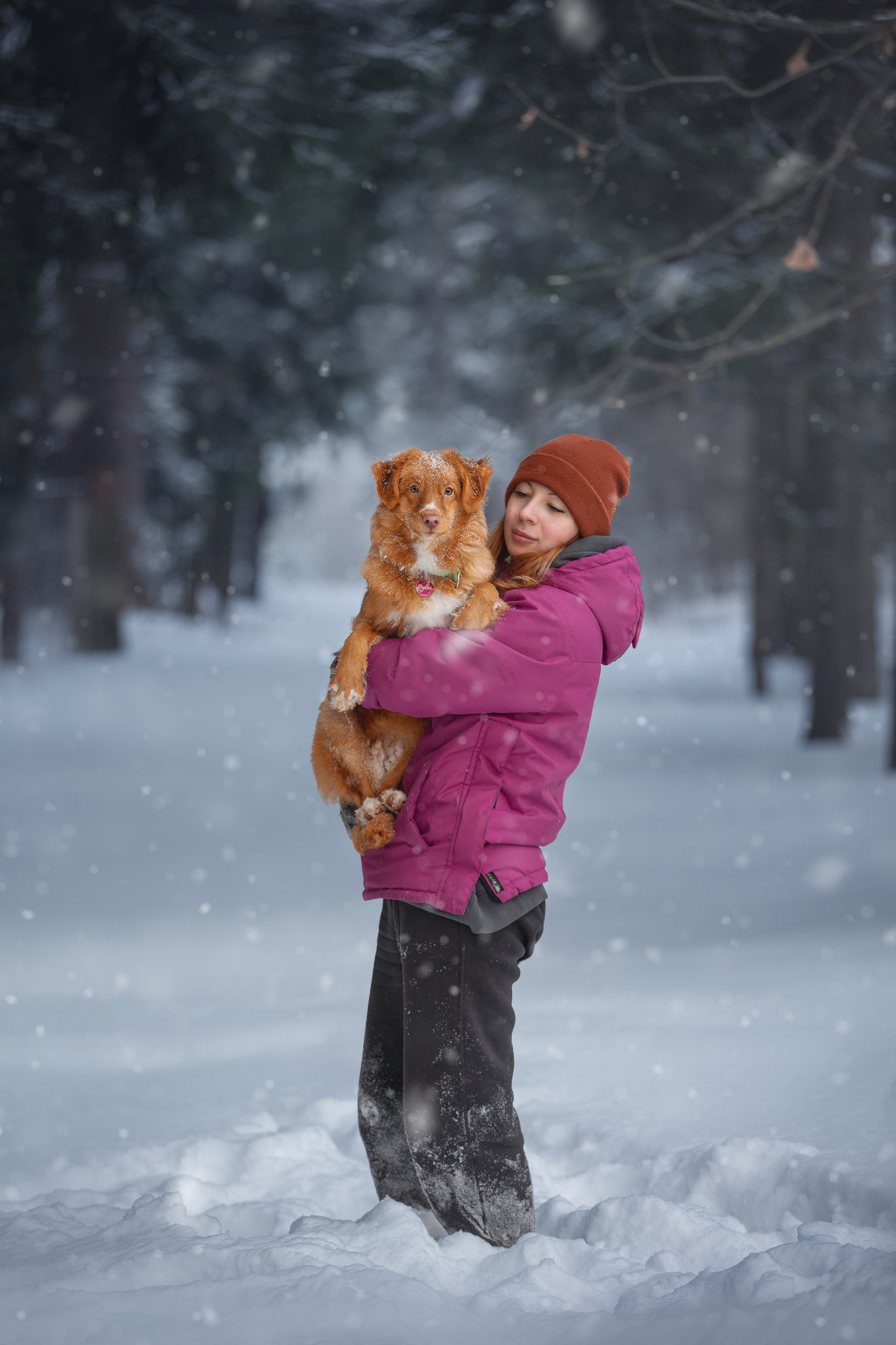 Руби, Николь, Кирилл и Мила. Фотограф анималист в Москве Майорова Евгения
