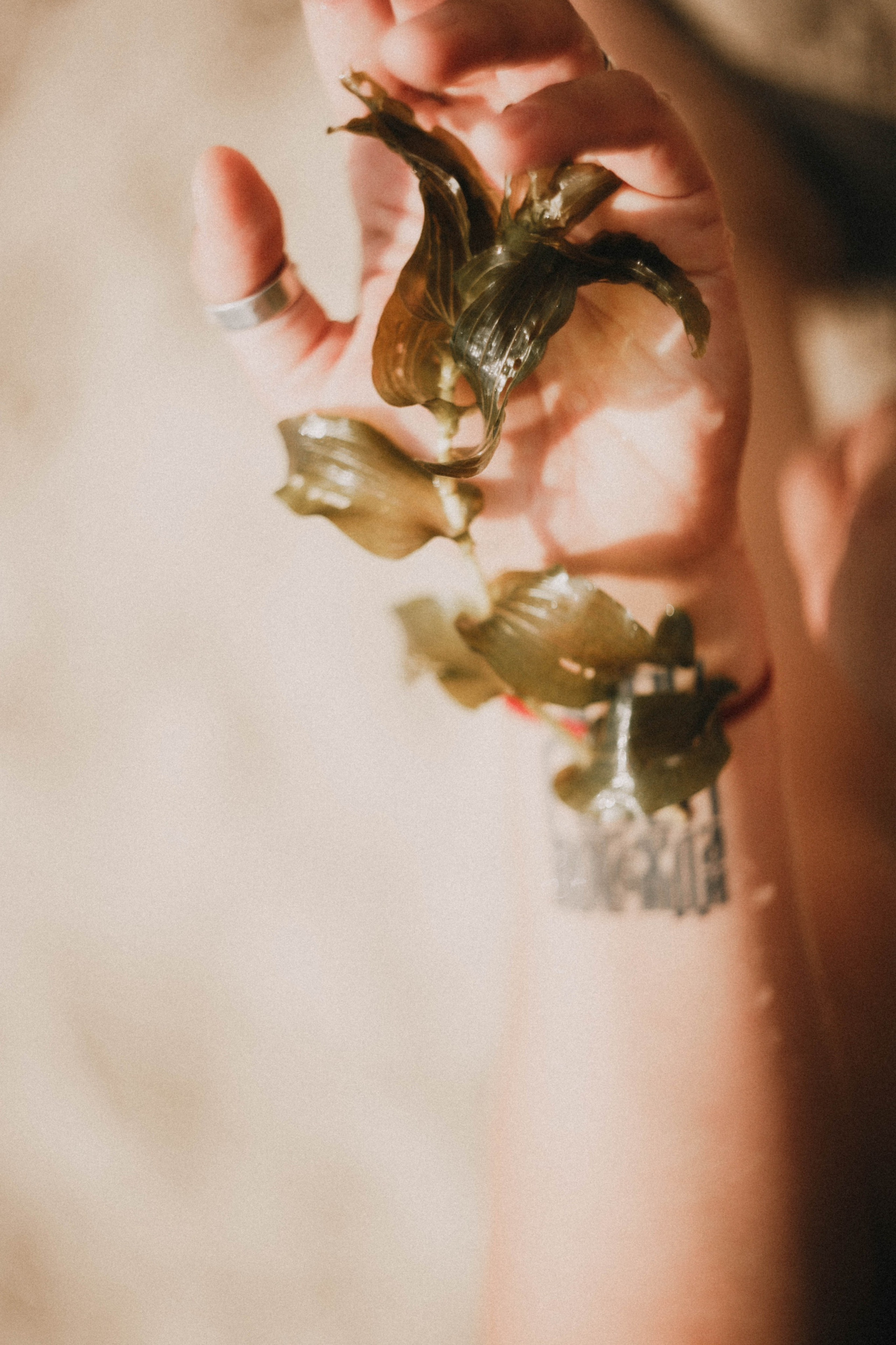 ФотоТуса ГОРЕ-МОРЕ. Фотограф в Нижнем Новгороде