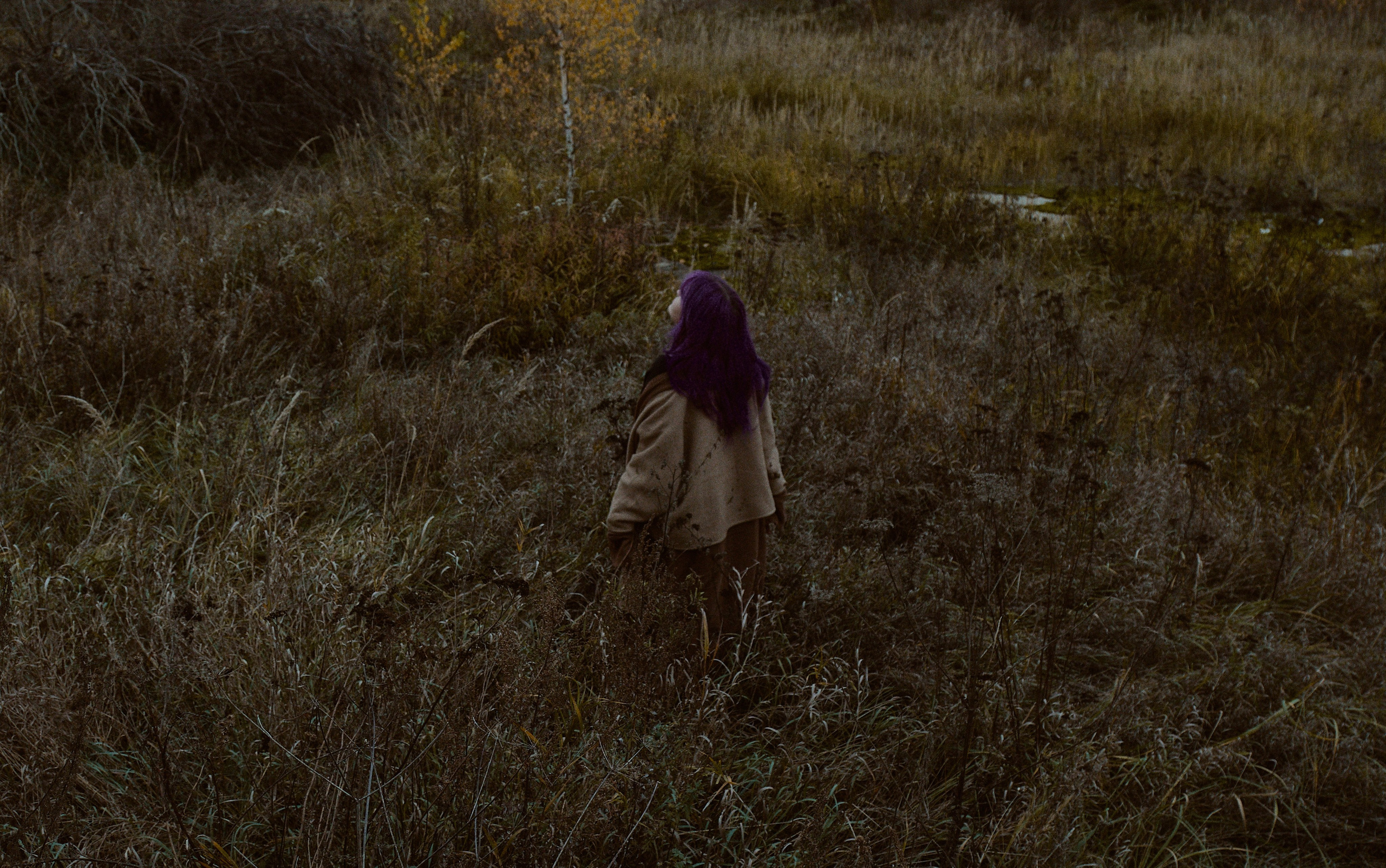 Русская сказка. Фотограф лавстори Москва/МО Приятелева Ангелина