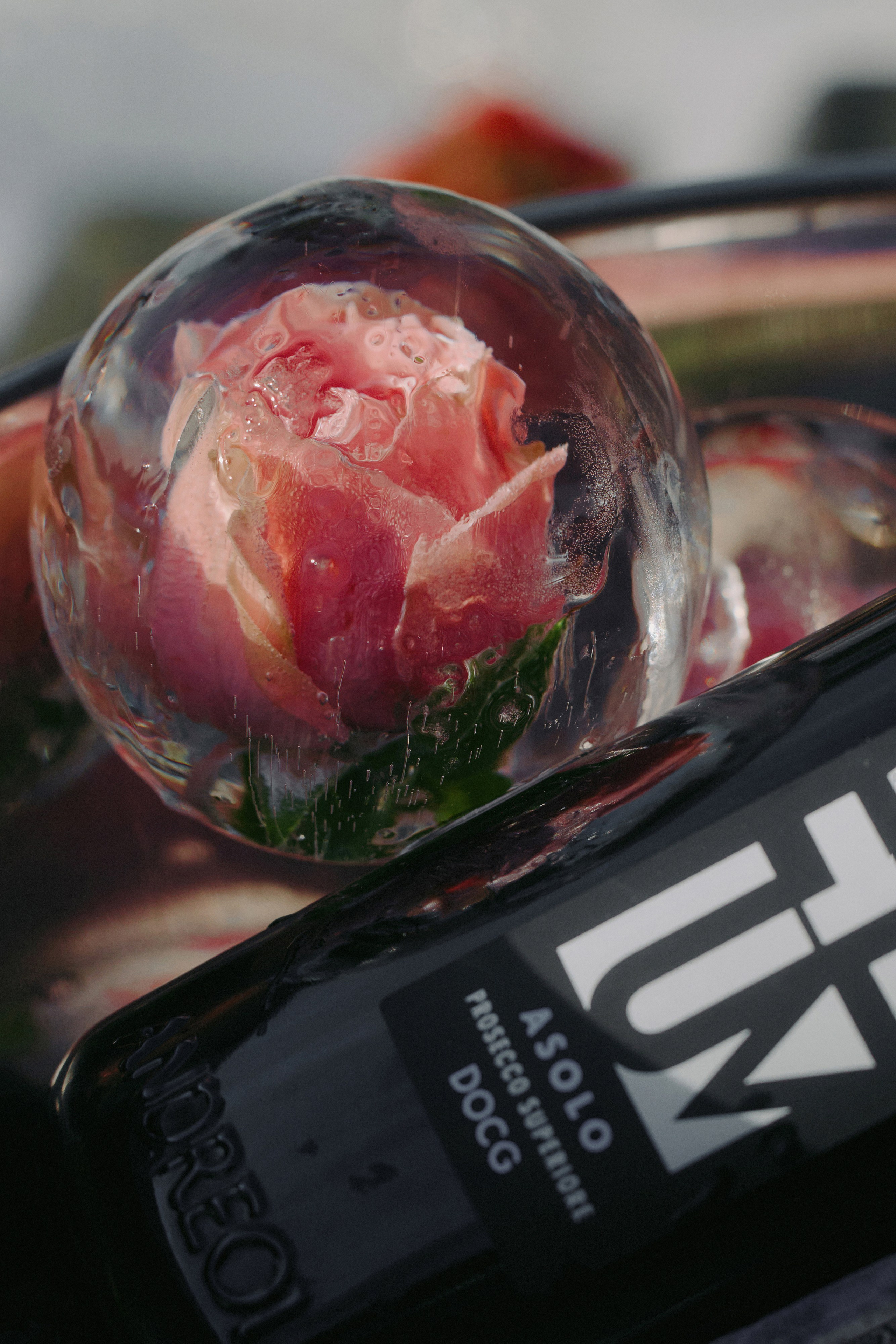 Your love is all I need in my world. Свадебный фотограф в Ростовe-на-Дону Анастасия Прутова