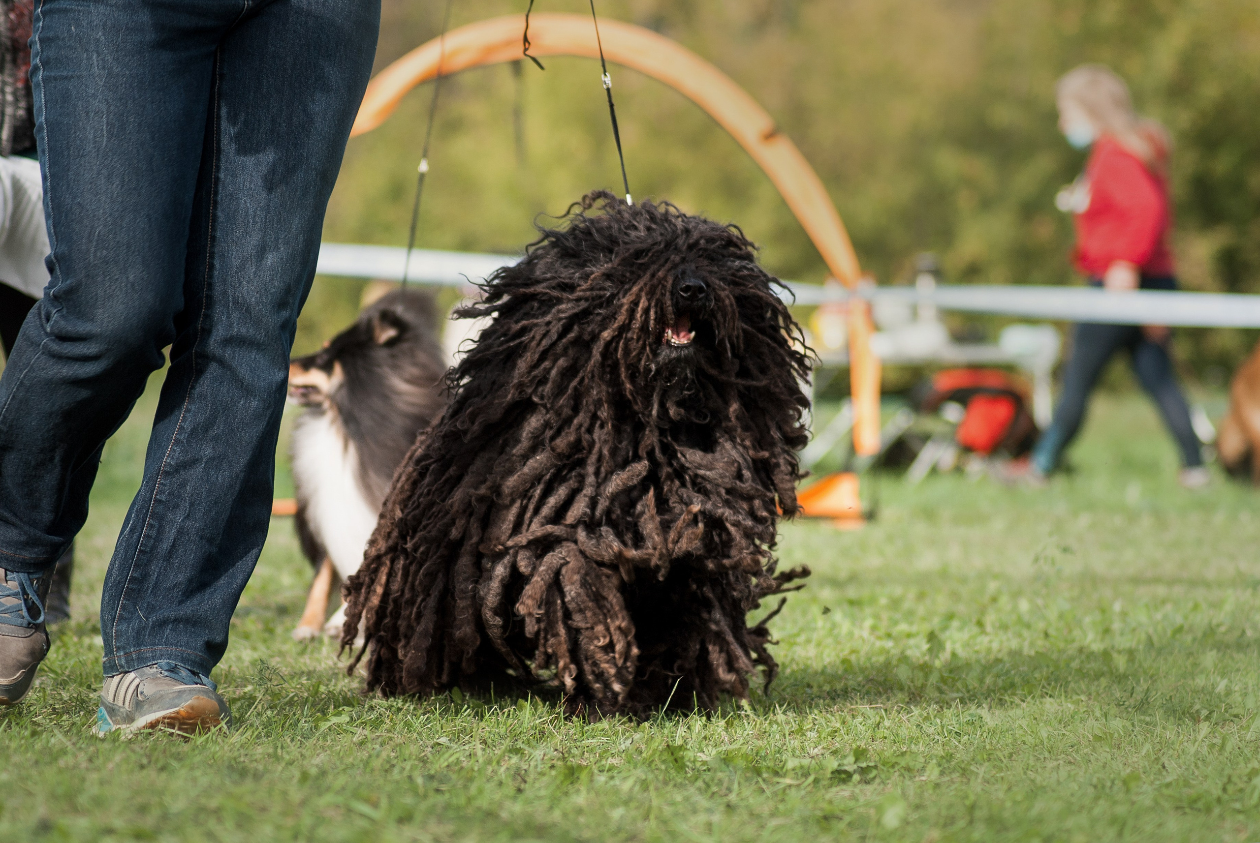 Шоу. Фотограф в Тюмени Лизавета Сапицкая