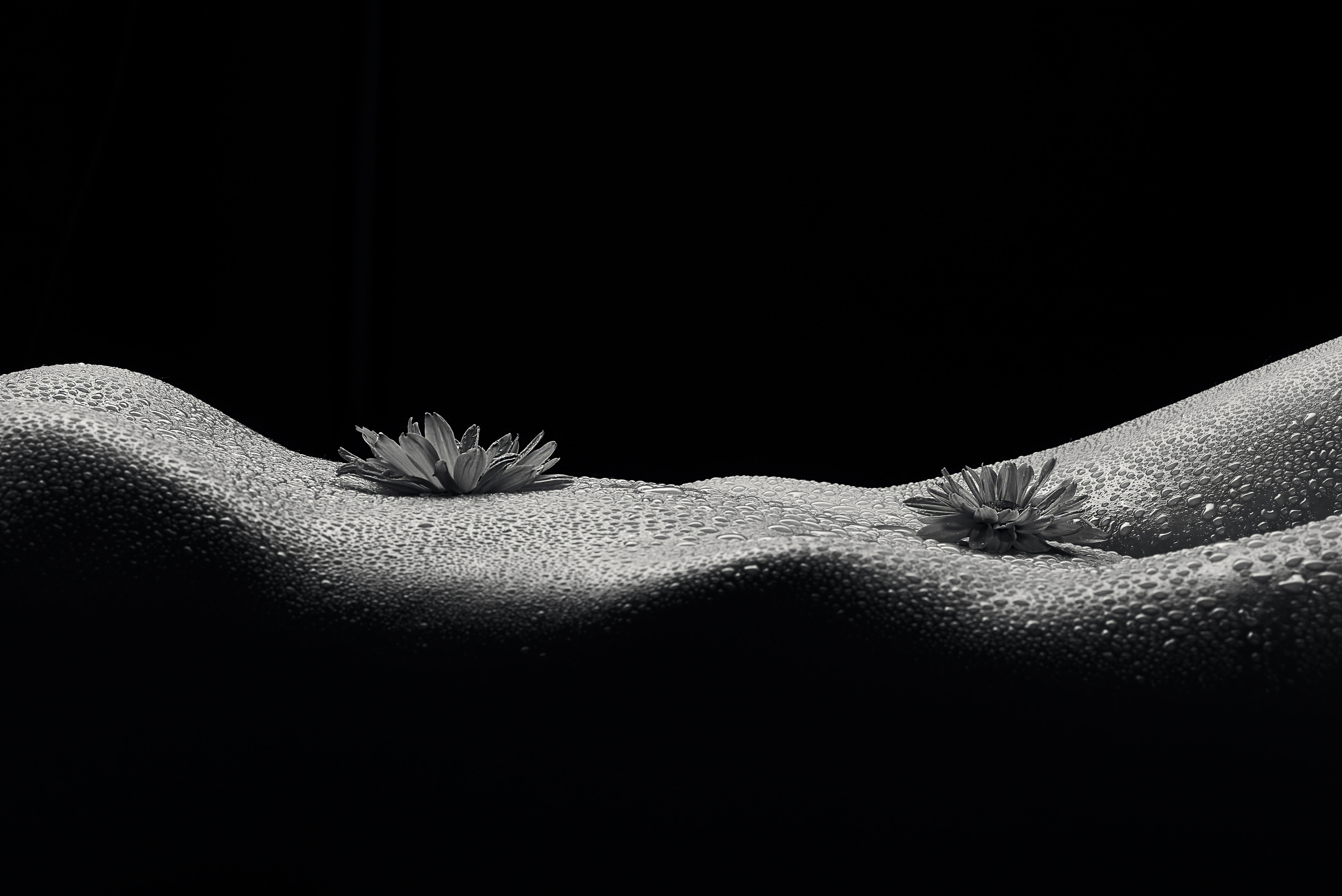 Классическая ню фотосъемка. Ню фотограф в городе Владивосток Алексей Кудряшов