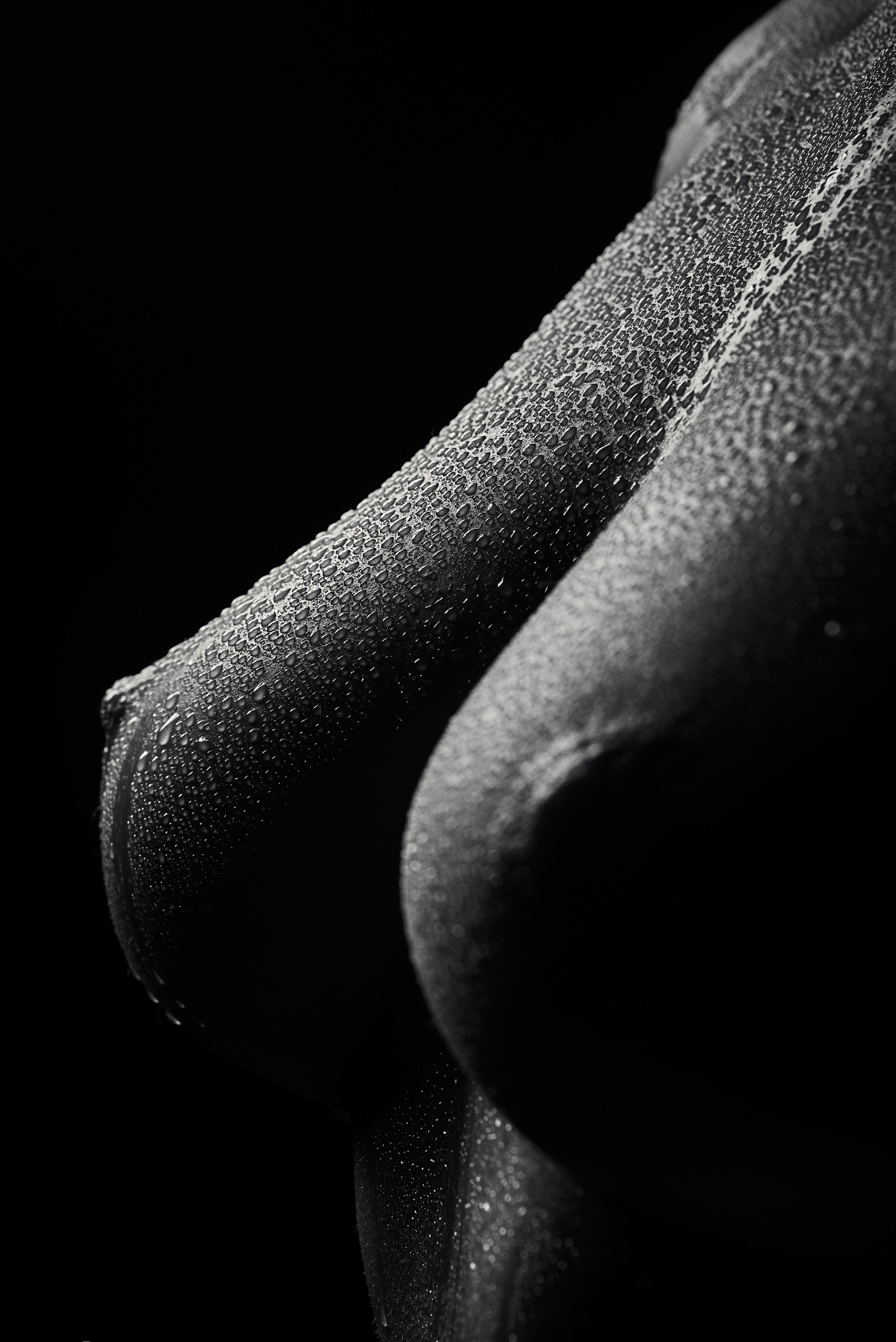 Классическая ню фотосъемка. Ню фотограф в городе Владивосток Алексей Кудряшов