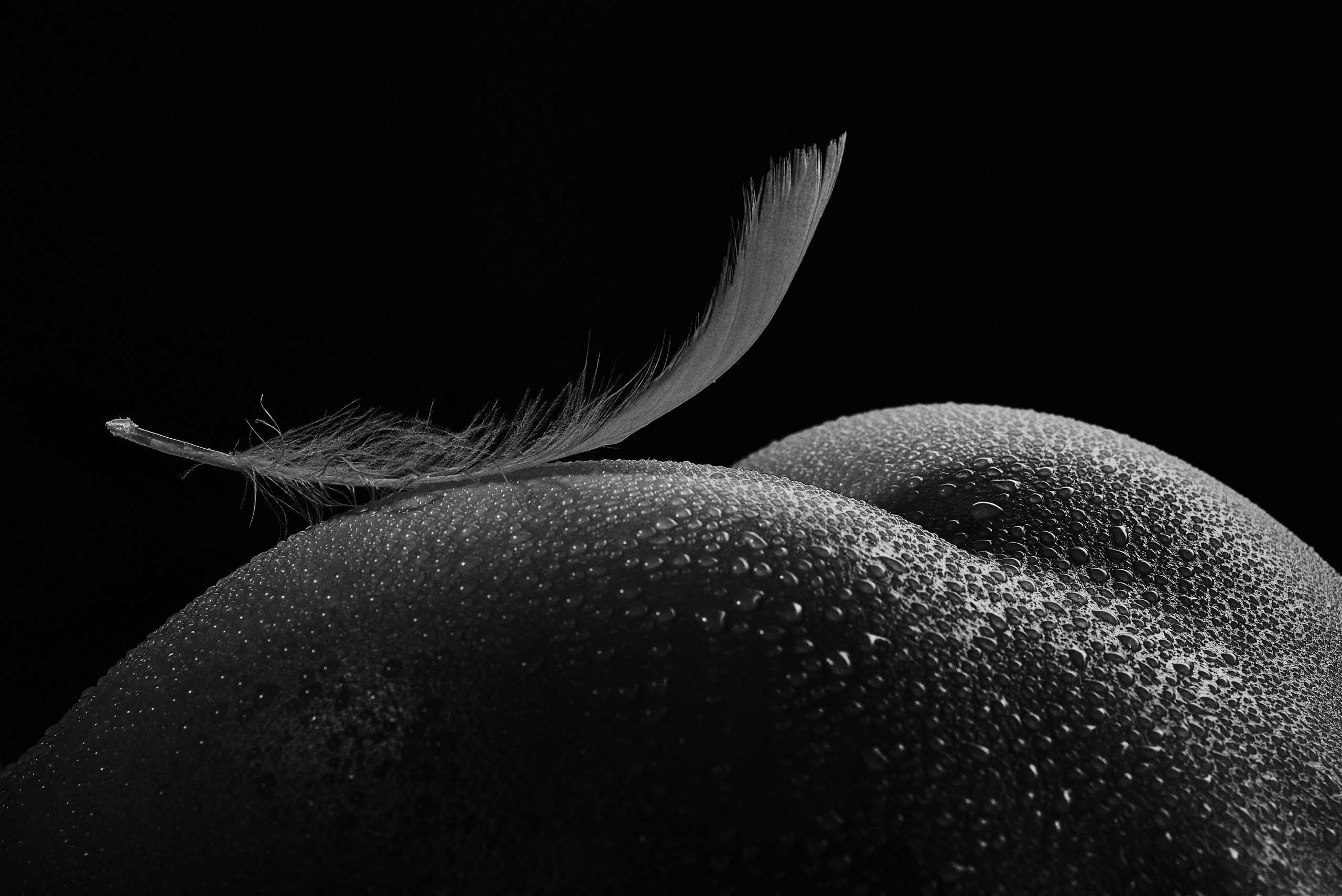 Ню фотограф в городе Владивосток Алексей Кудряшов