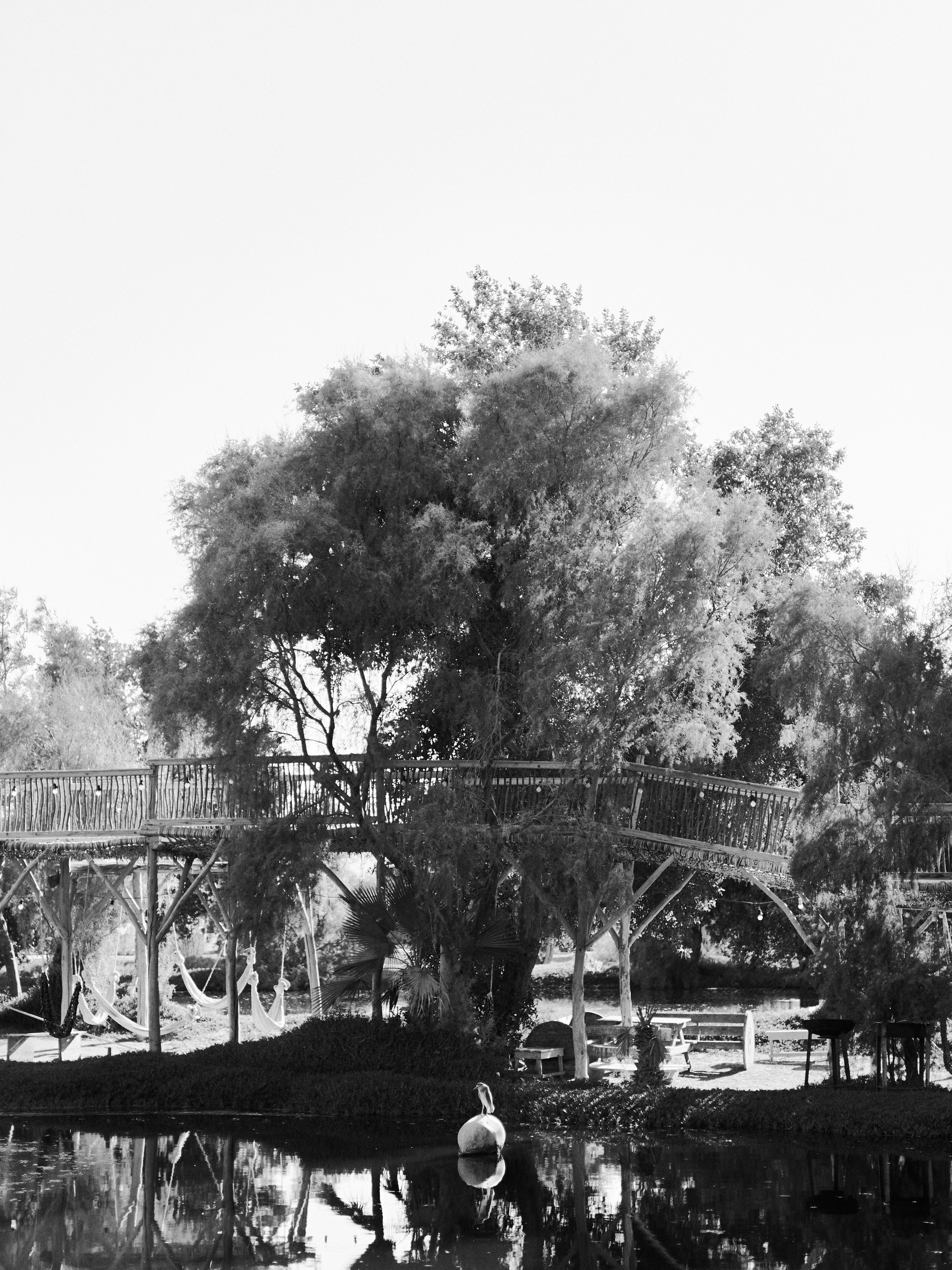 B&W. Jorgis — фотограф в Хургаде / обучение фотографии