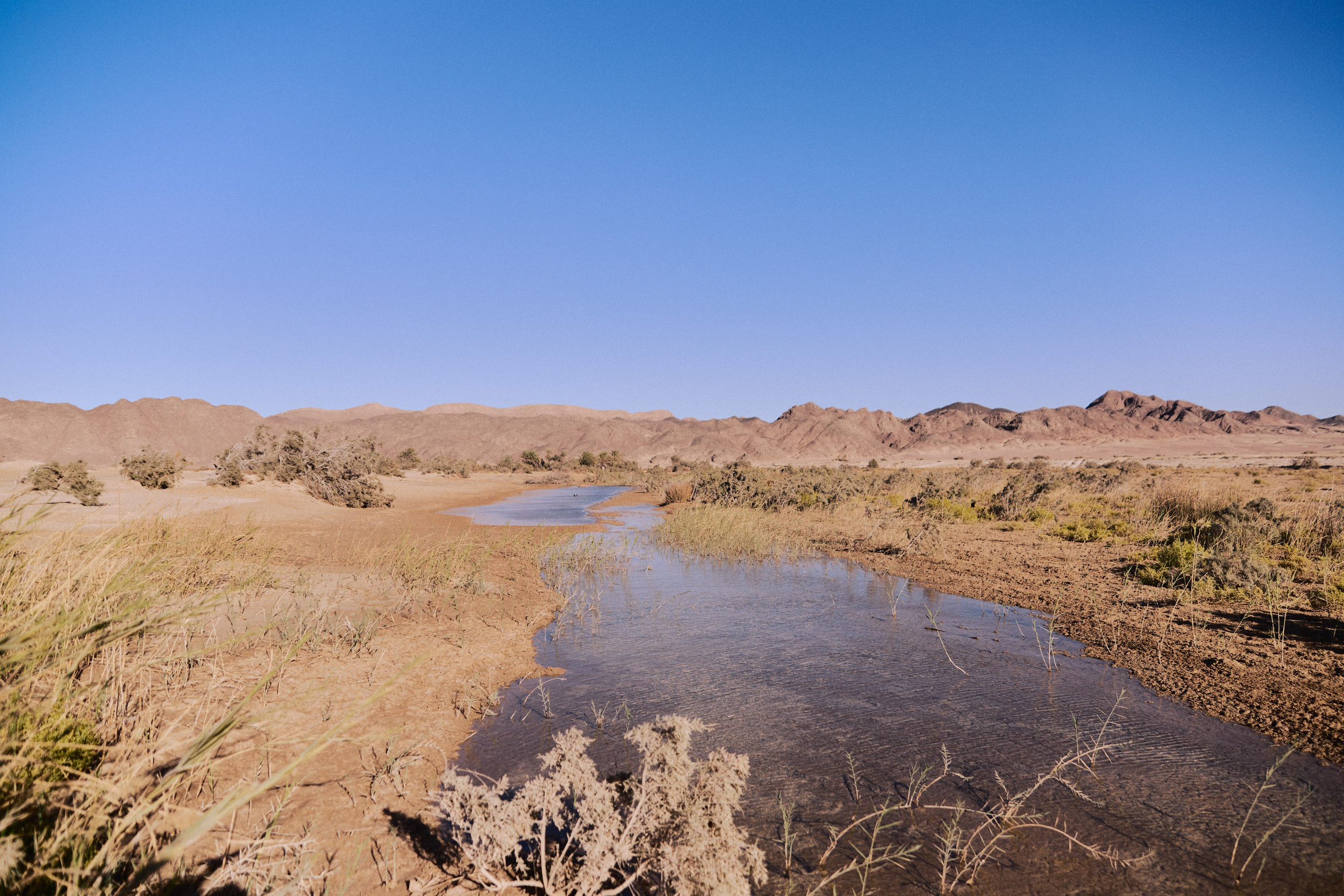 Улица горизонтальная. Jorgis — фотограф в Хургаде / обучение фотографии