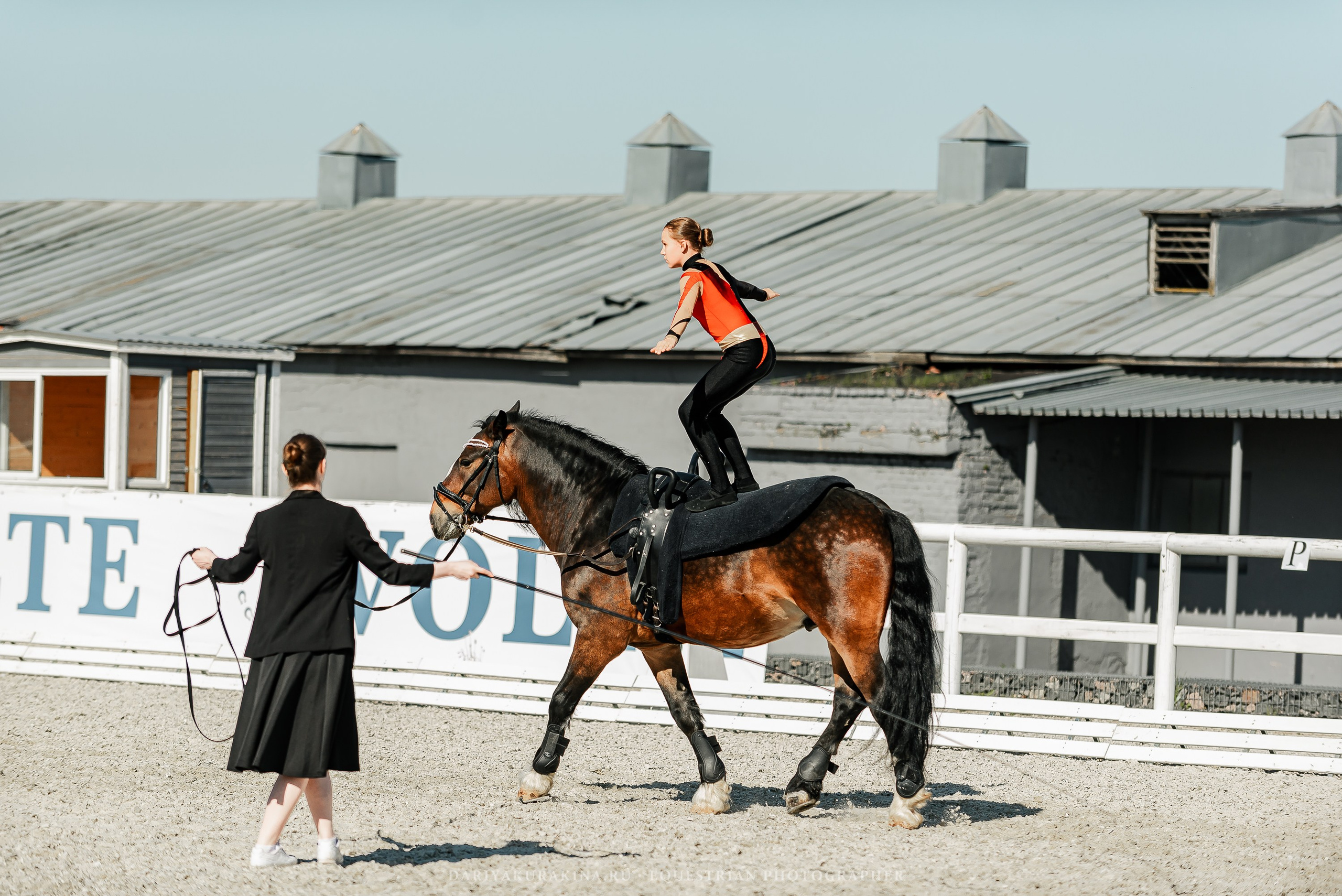 РЕПОРТАЖ МКК ВОЛЬТ «LA TULIPS». Конный фотограф Куракина Дарья • Фотосессии с лошадьми