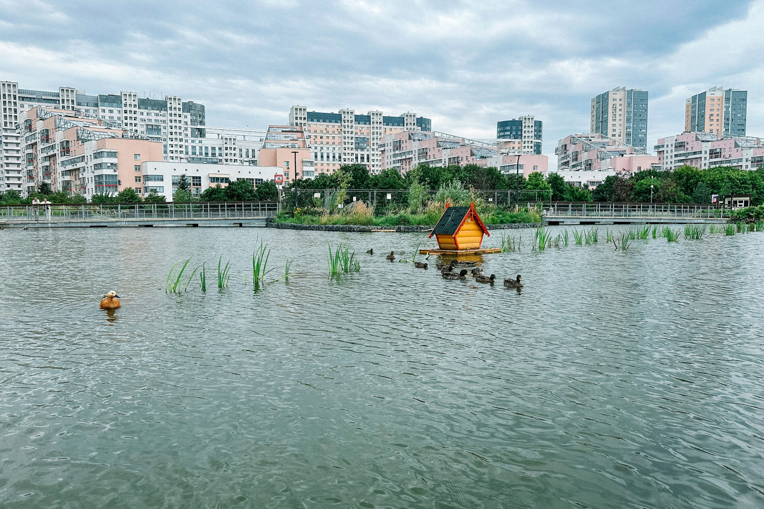 Москва. Команда фотографов Кристины Ивановой