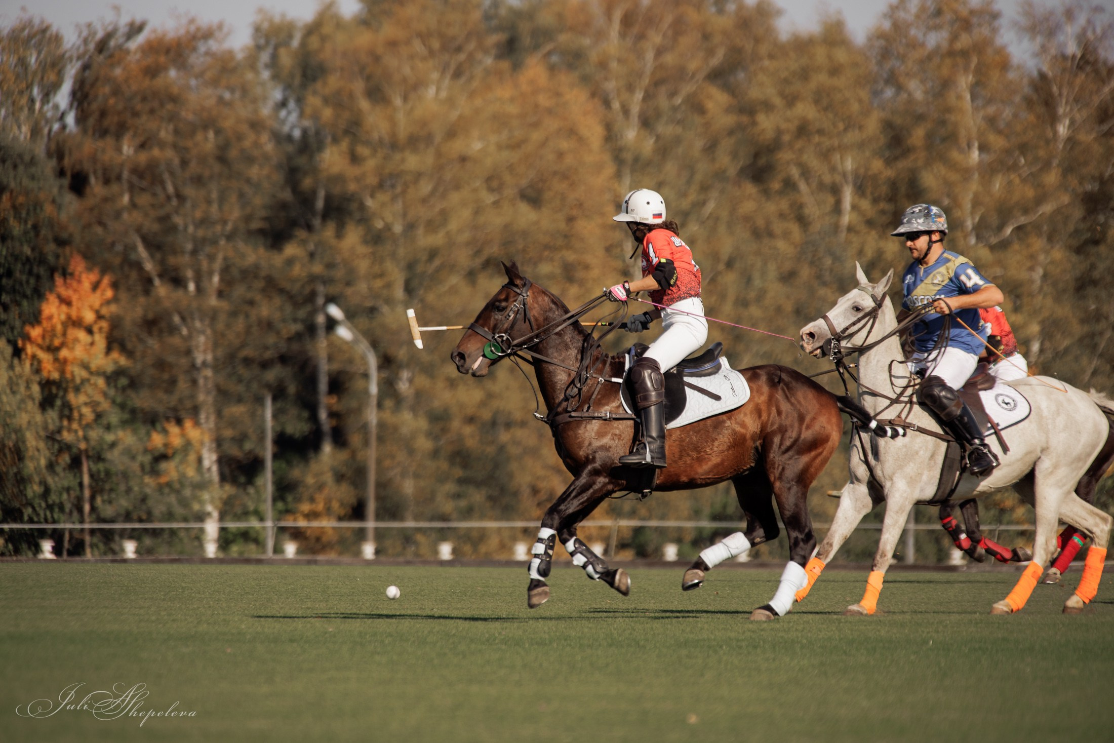 Осенний кубок по конному поло. Детская Конная фотография в Москве Юлия Шепелева