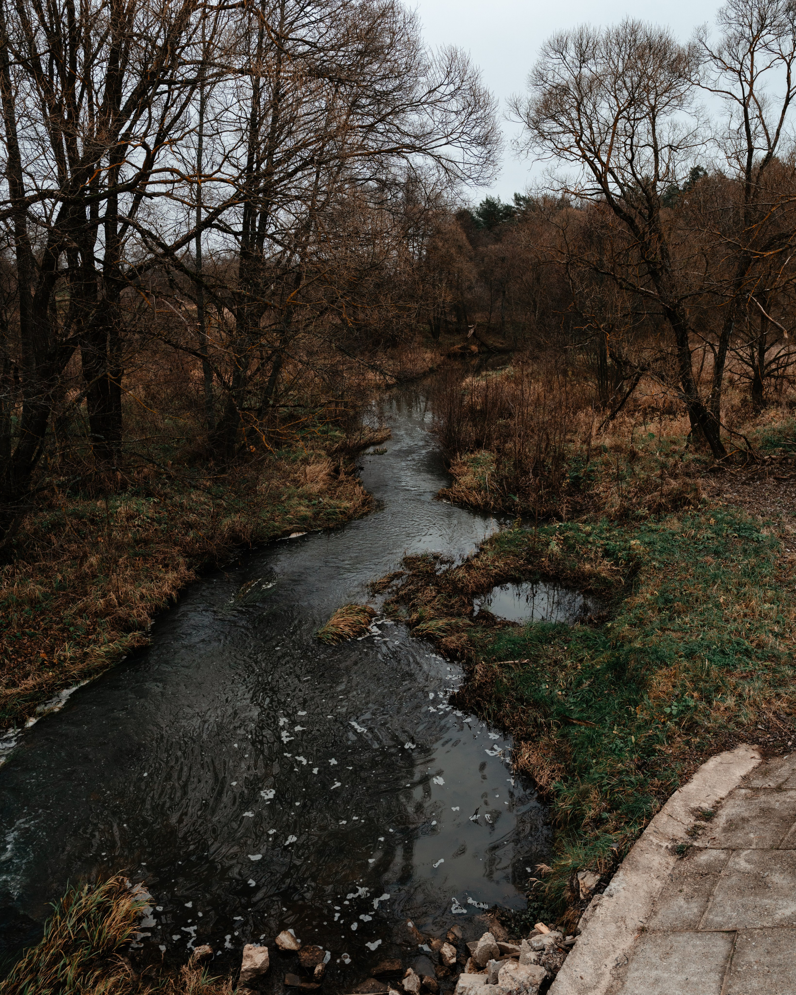 Старое место в Богимово. Vlad Trykov