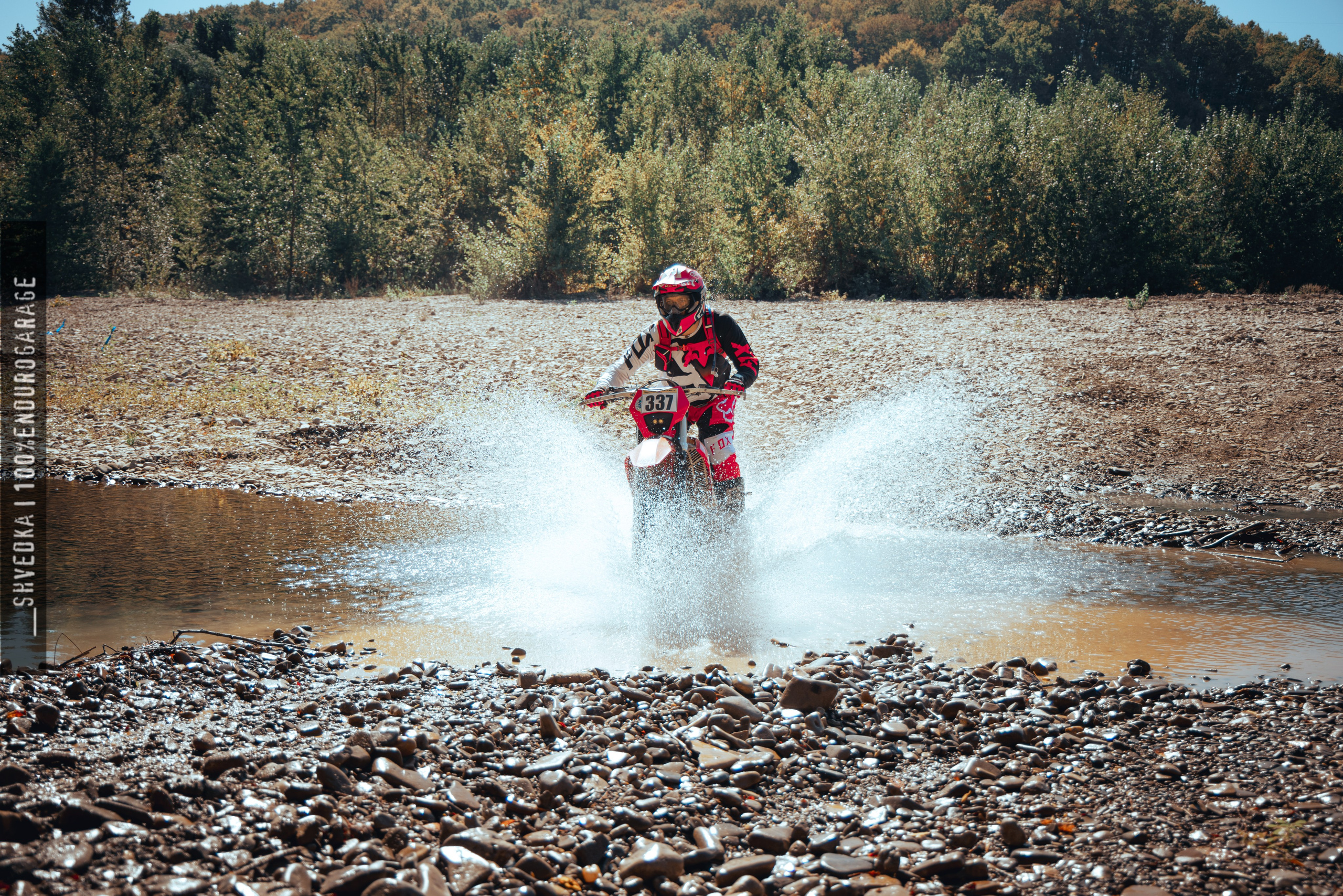 1 лесной день. Ваш экстрим фотограф Кудрева Яна