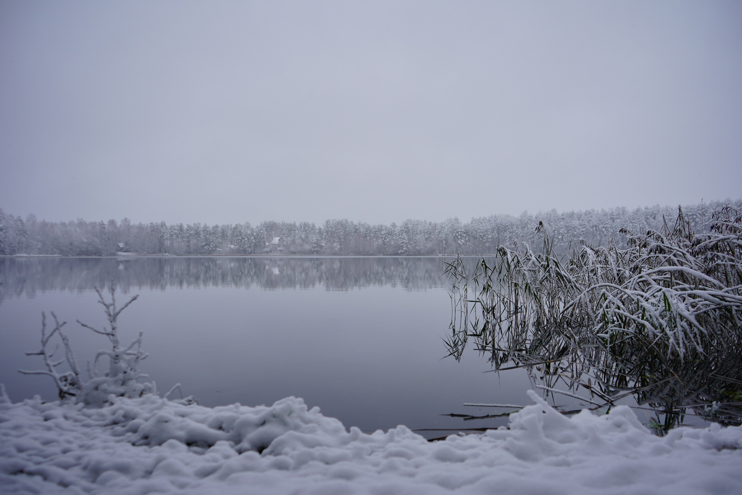 Разное. Фотограф в Санкт-Петербурге Виктория Барышникова