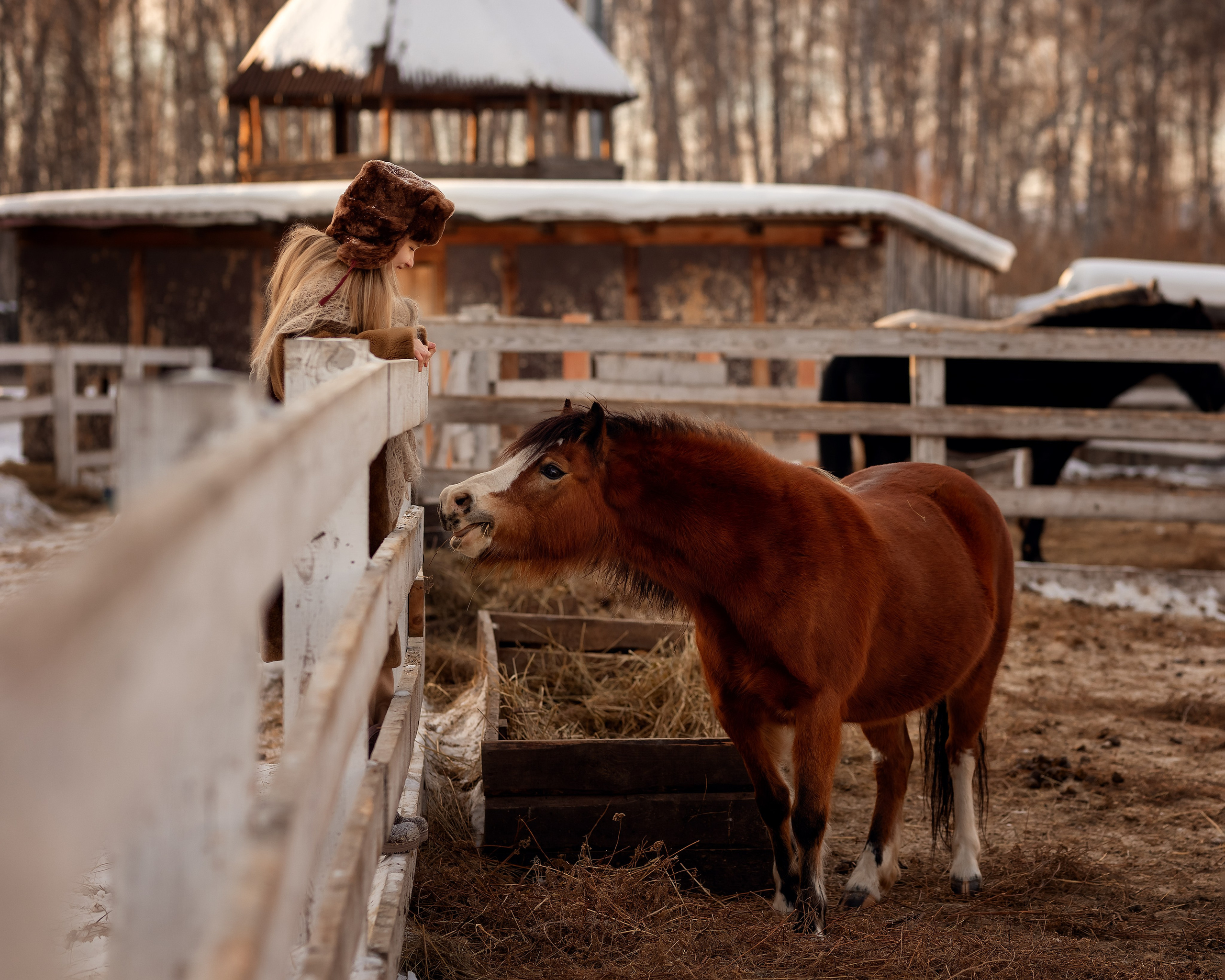 Настя и пони. Детский и семейный фотограф в Челябинске Мандрикова Светлана