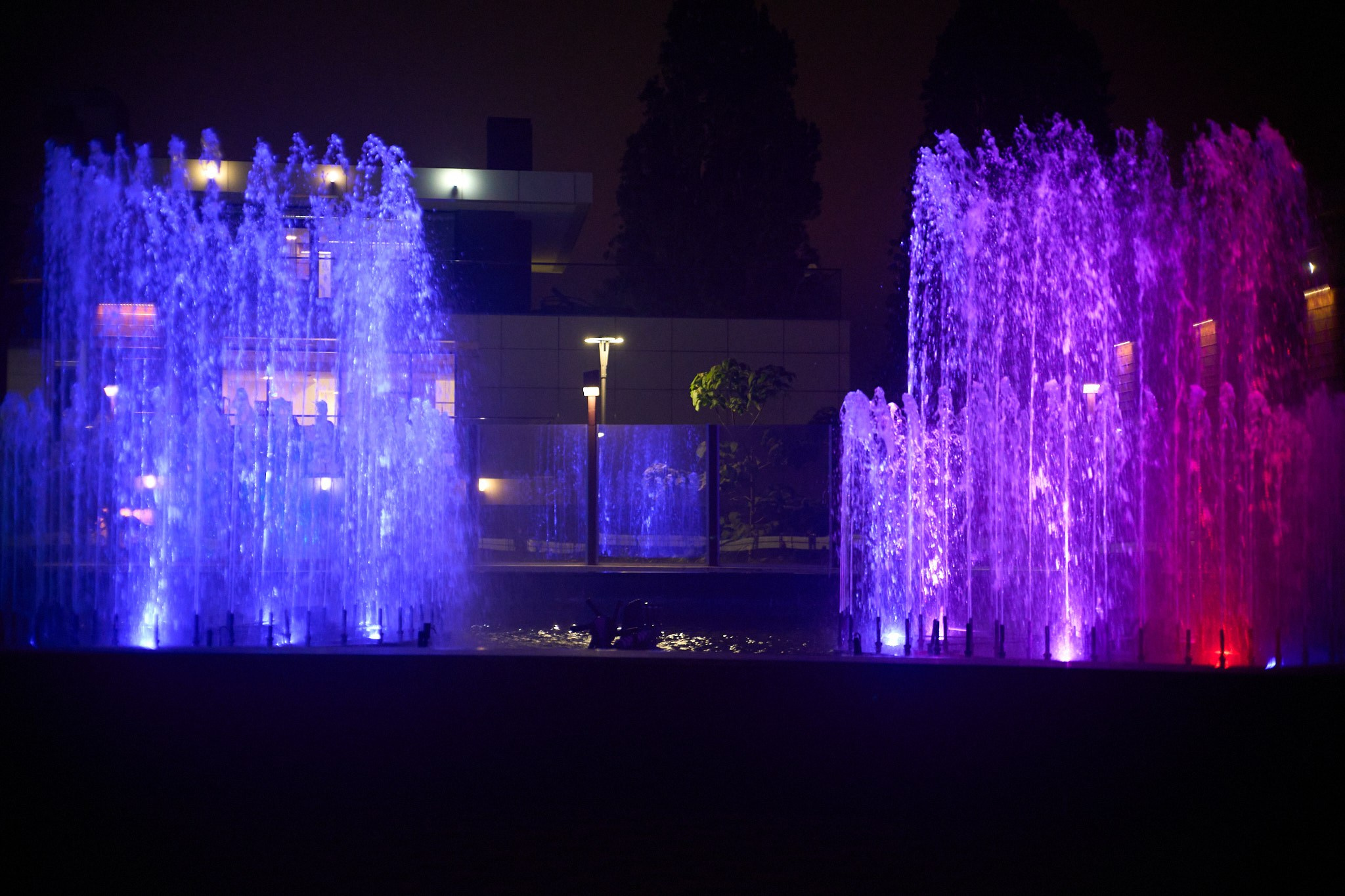 Красная Поляна, апрель 2024. Фотограф, Римма Невинская